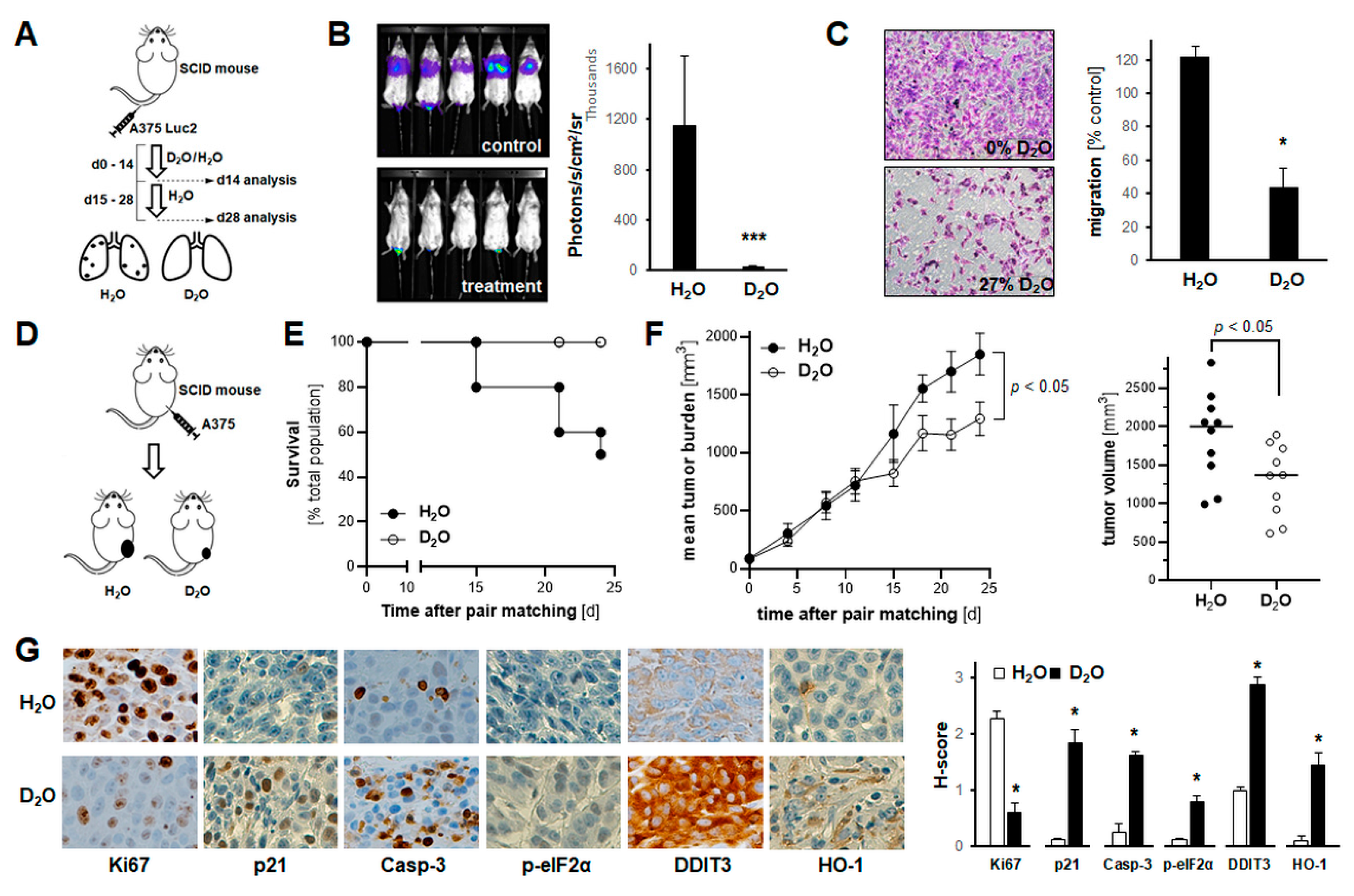Cancers 13 00605 g005 Cancers 13 00605 g005