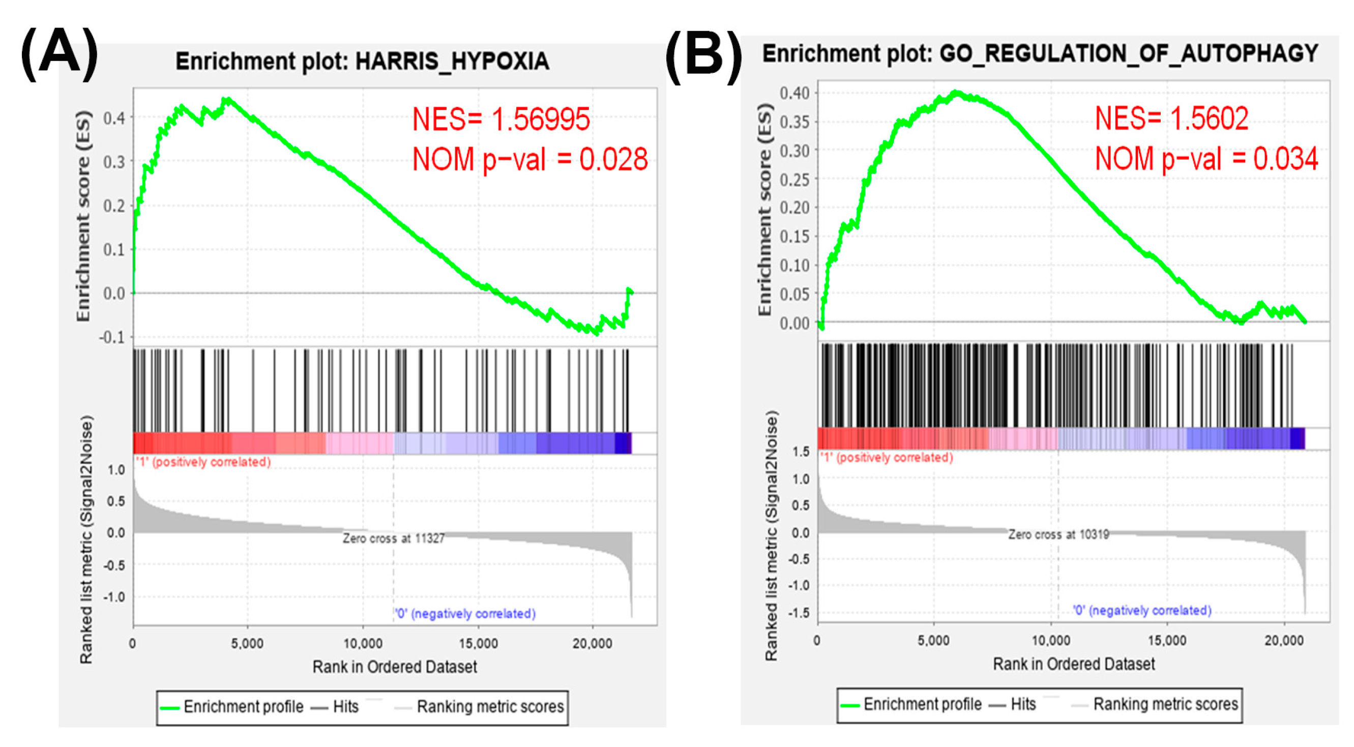 Cancers 13 00606 g001 Cancers 13 00606 g001
