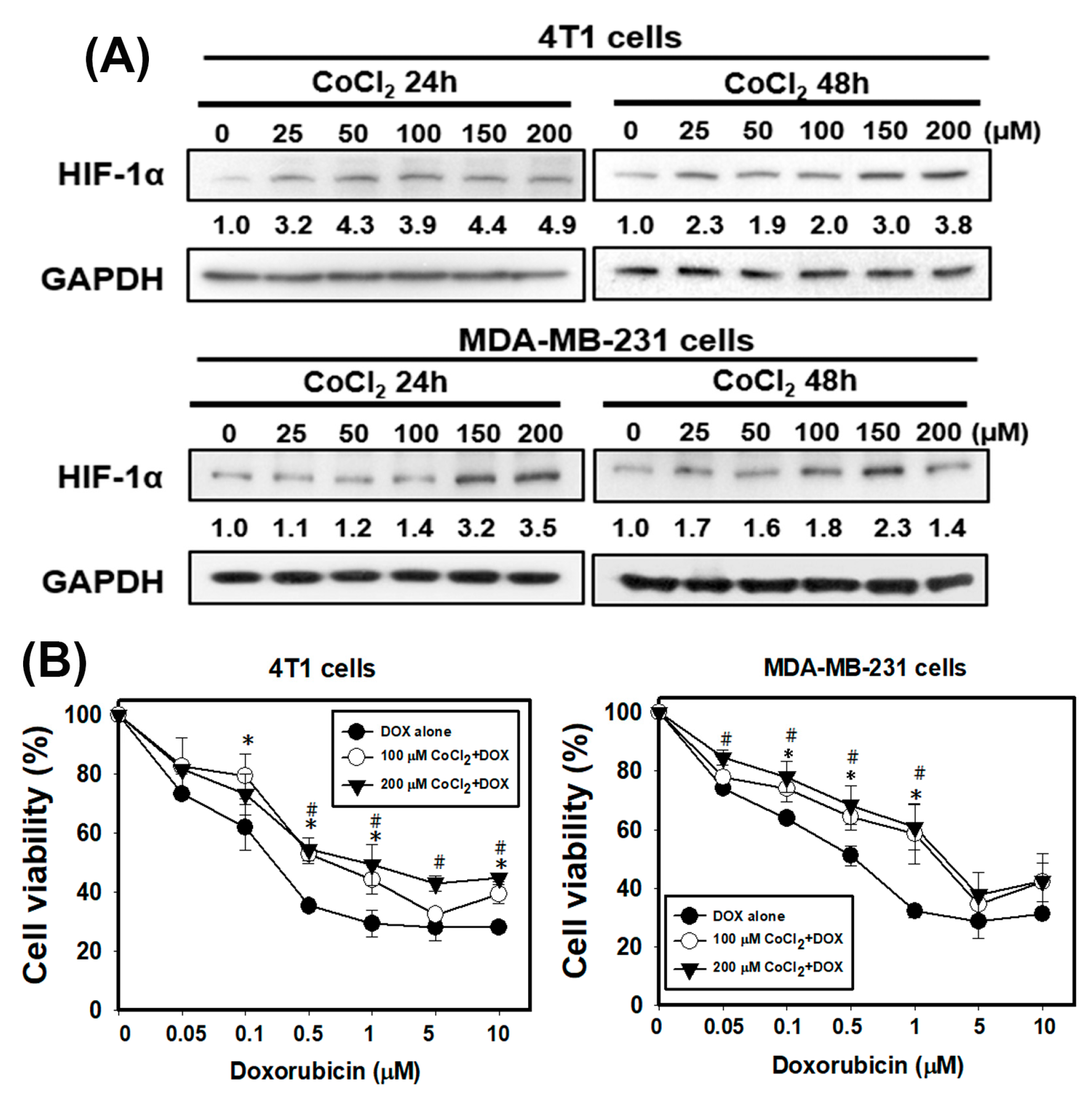 Cancers 13 00606 g002 Cancers 13 00606 g002