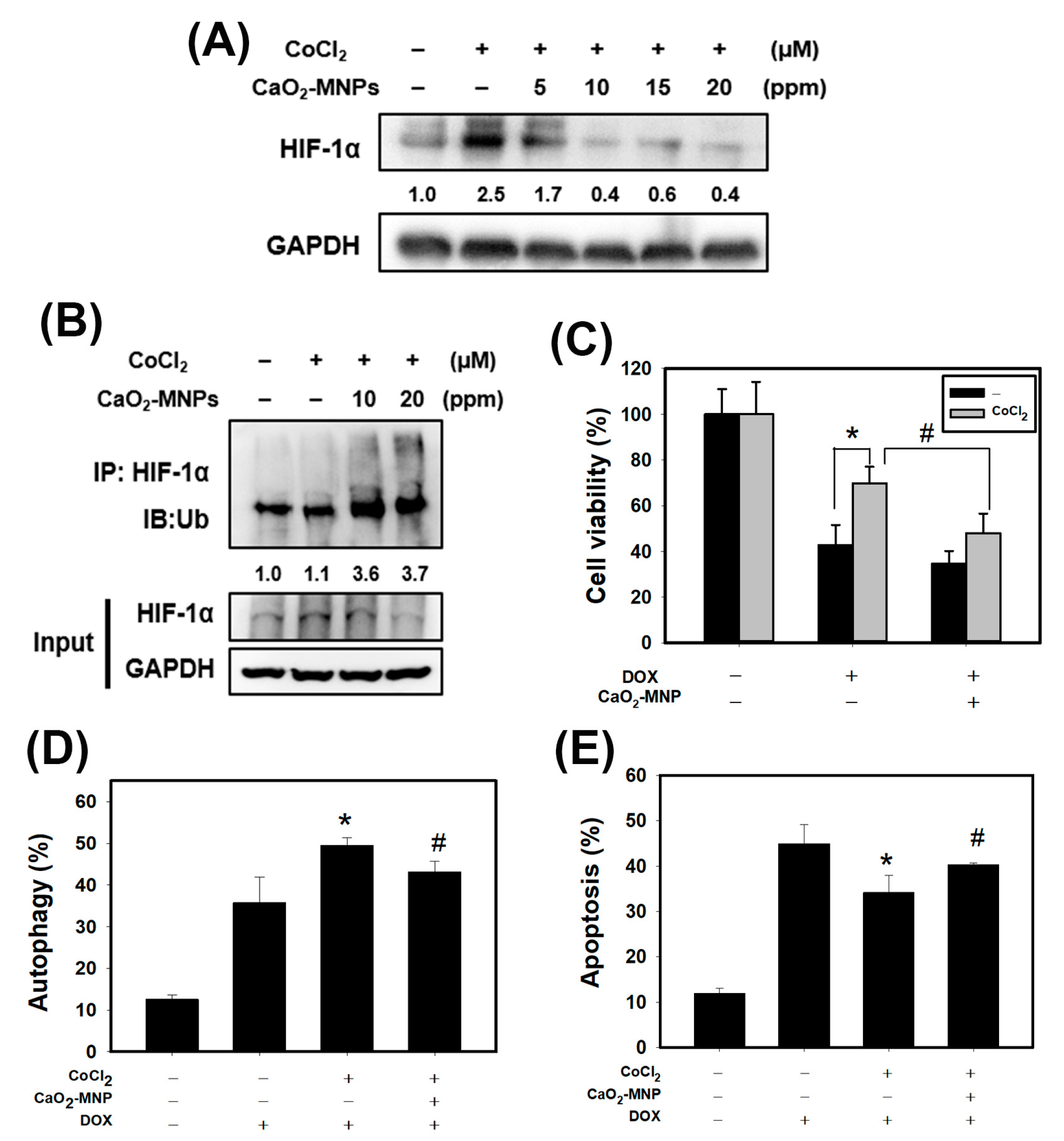 Cancers 13 00606 g005 Cancers 13 00606 g005