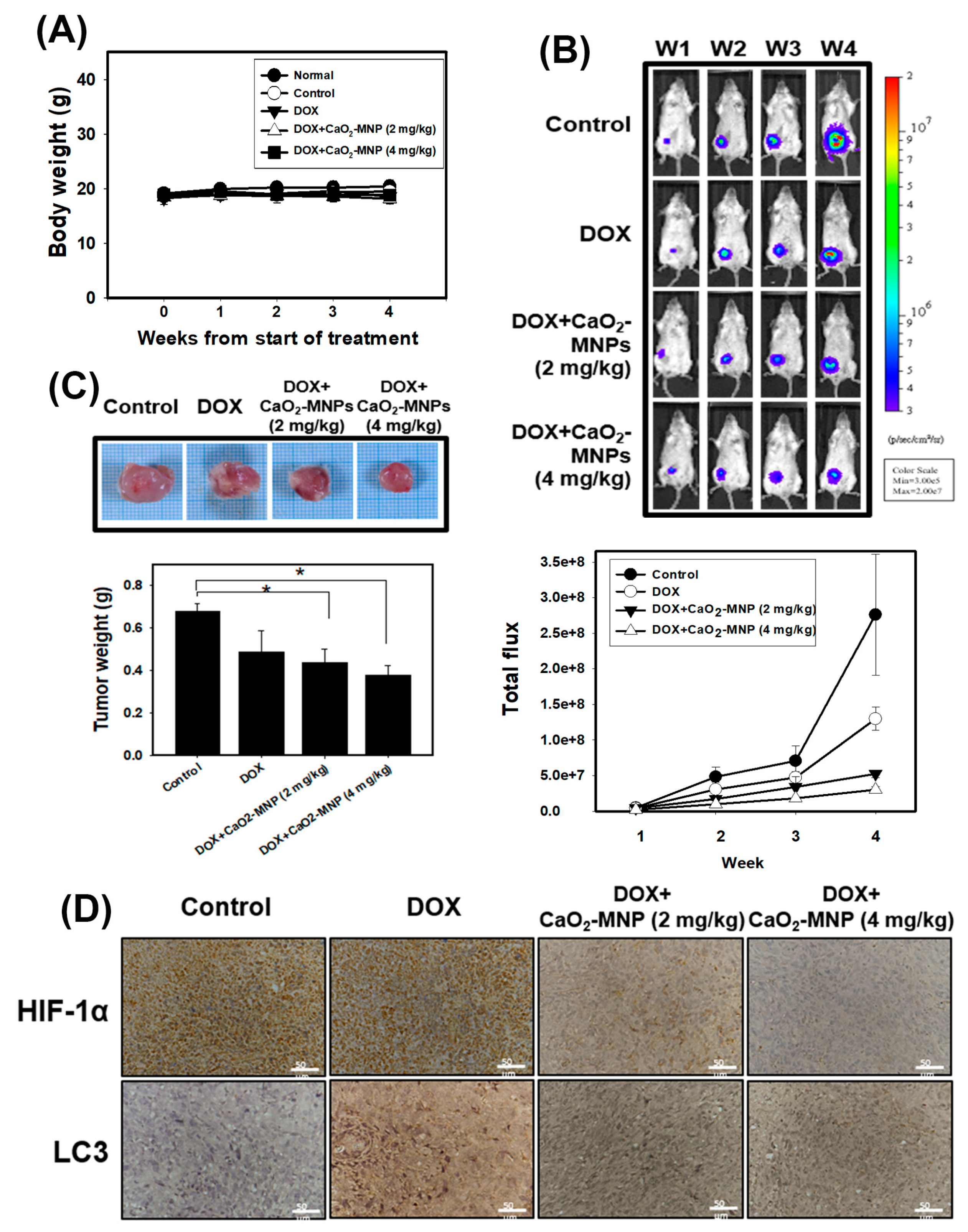 Cancers 13 00606 g006 Cancers 13 00606 g006