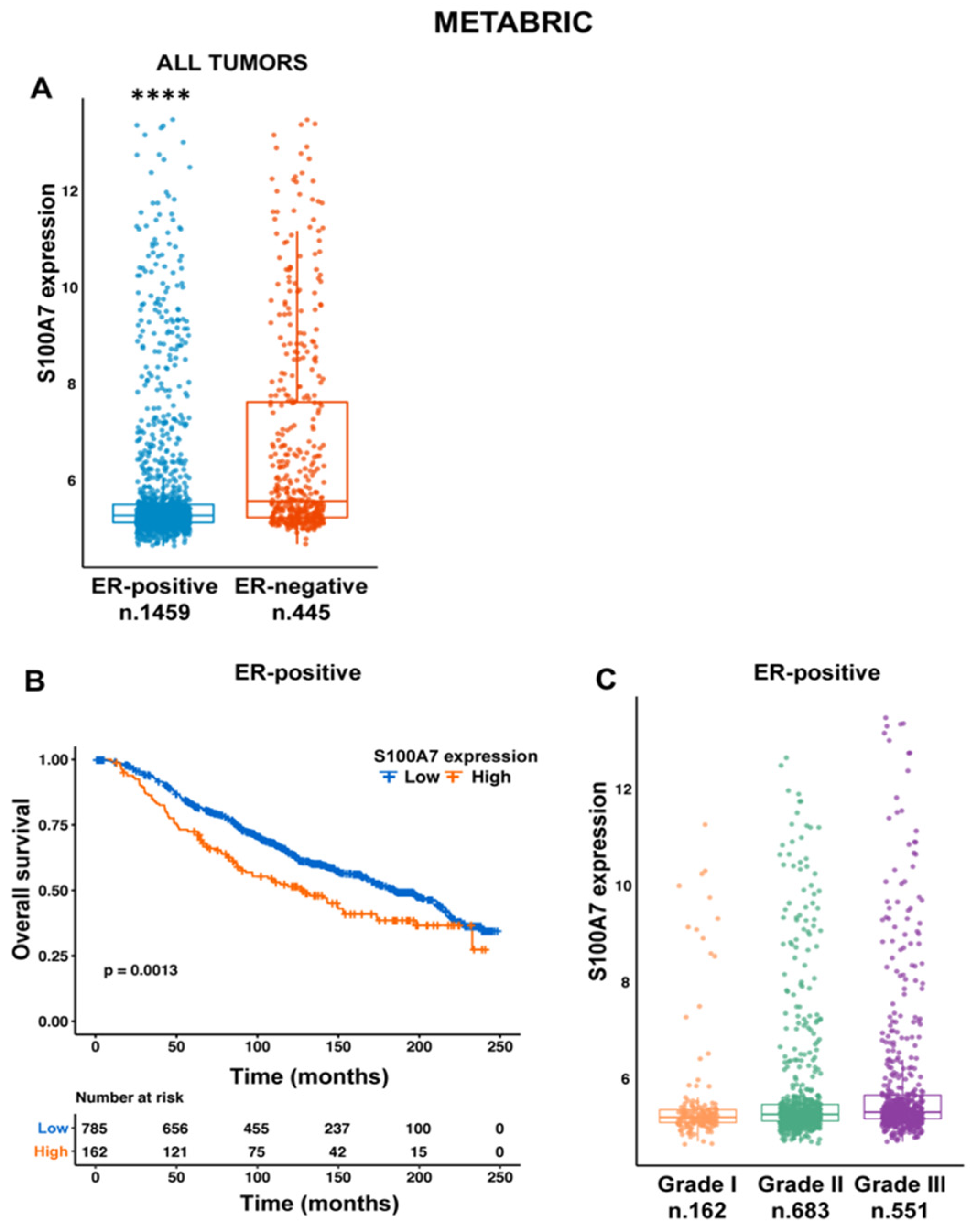 Cancers 13 00621 g001 Cancers 13 00621 g001