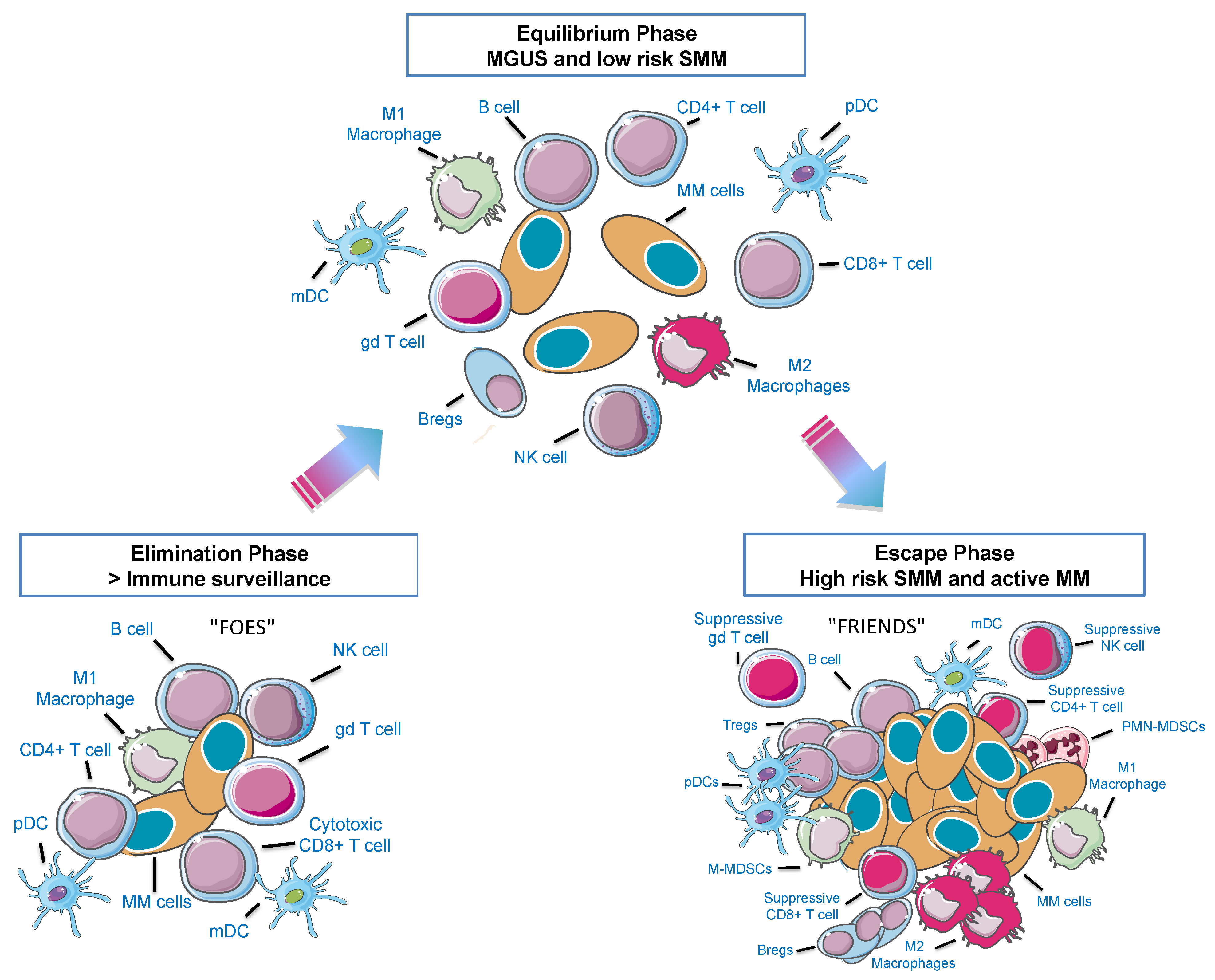 Cells at Work!'s Cancer Cell Gains Regulartory T Cell as an Ally