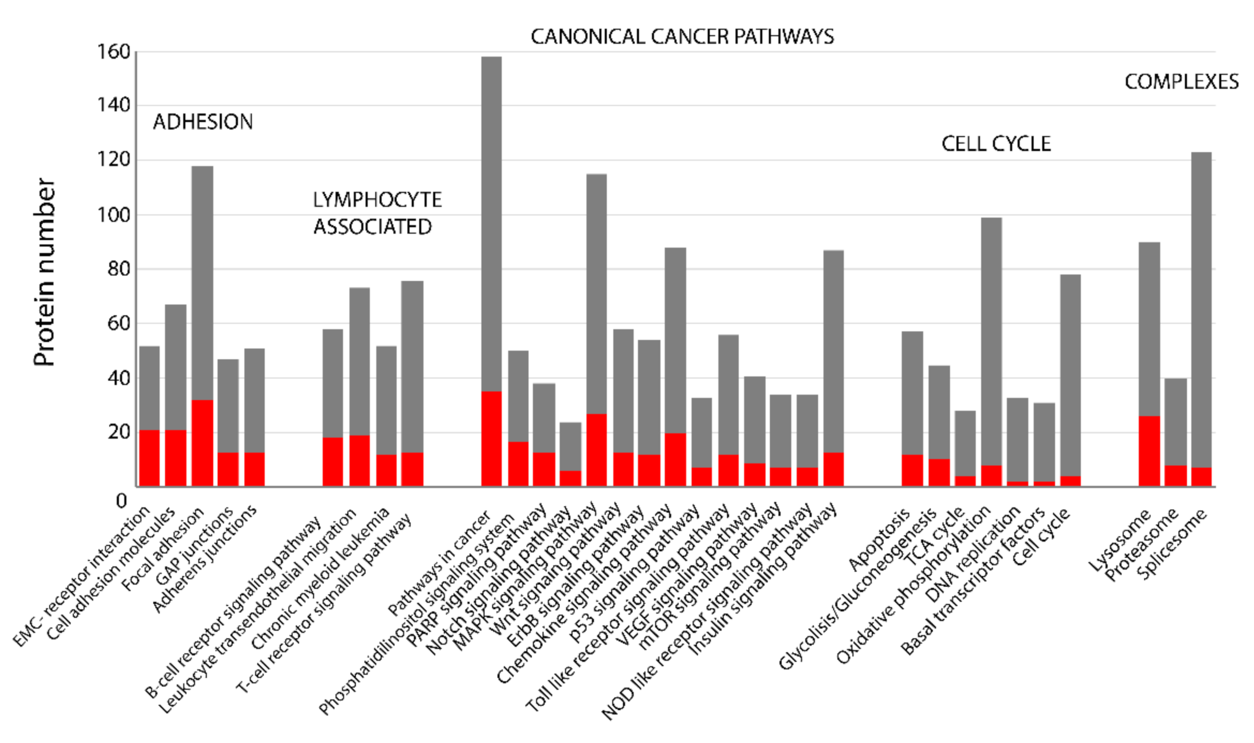 Cancers 13 00630 g003 Cancers 13 00630 g003