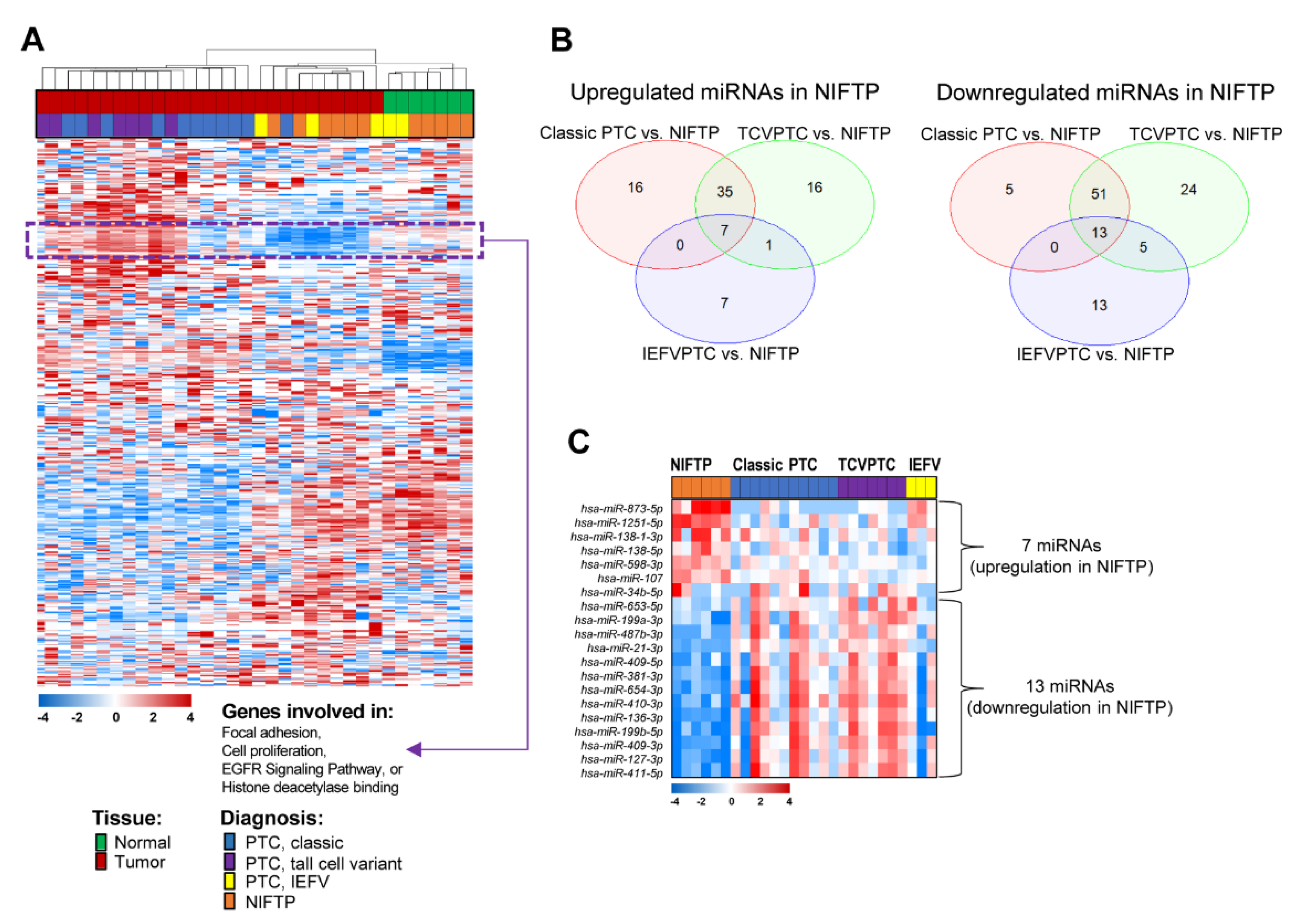 Cancers 13 00632 g001 Cancers 13 00632 g001