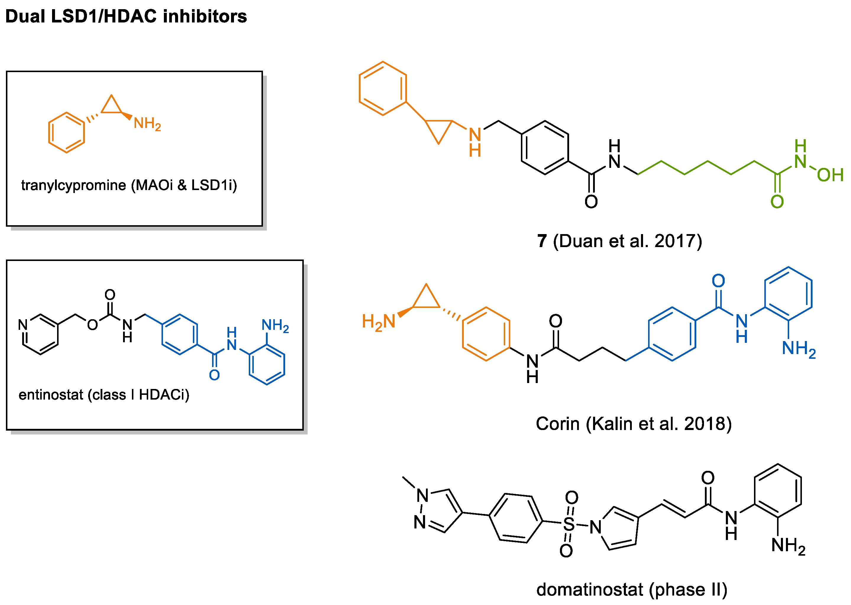Cancers 13 00634 g005 Cancers 13 00634 g005