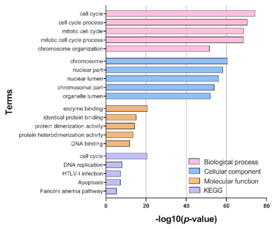 Integrative Transcriptomic Network Analysis of Butyrate