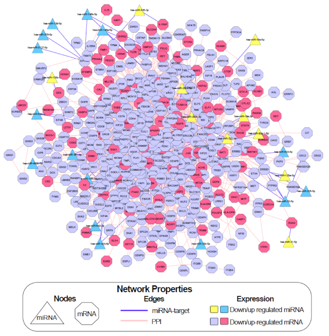 Cancers 13 00636 g005
