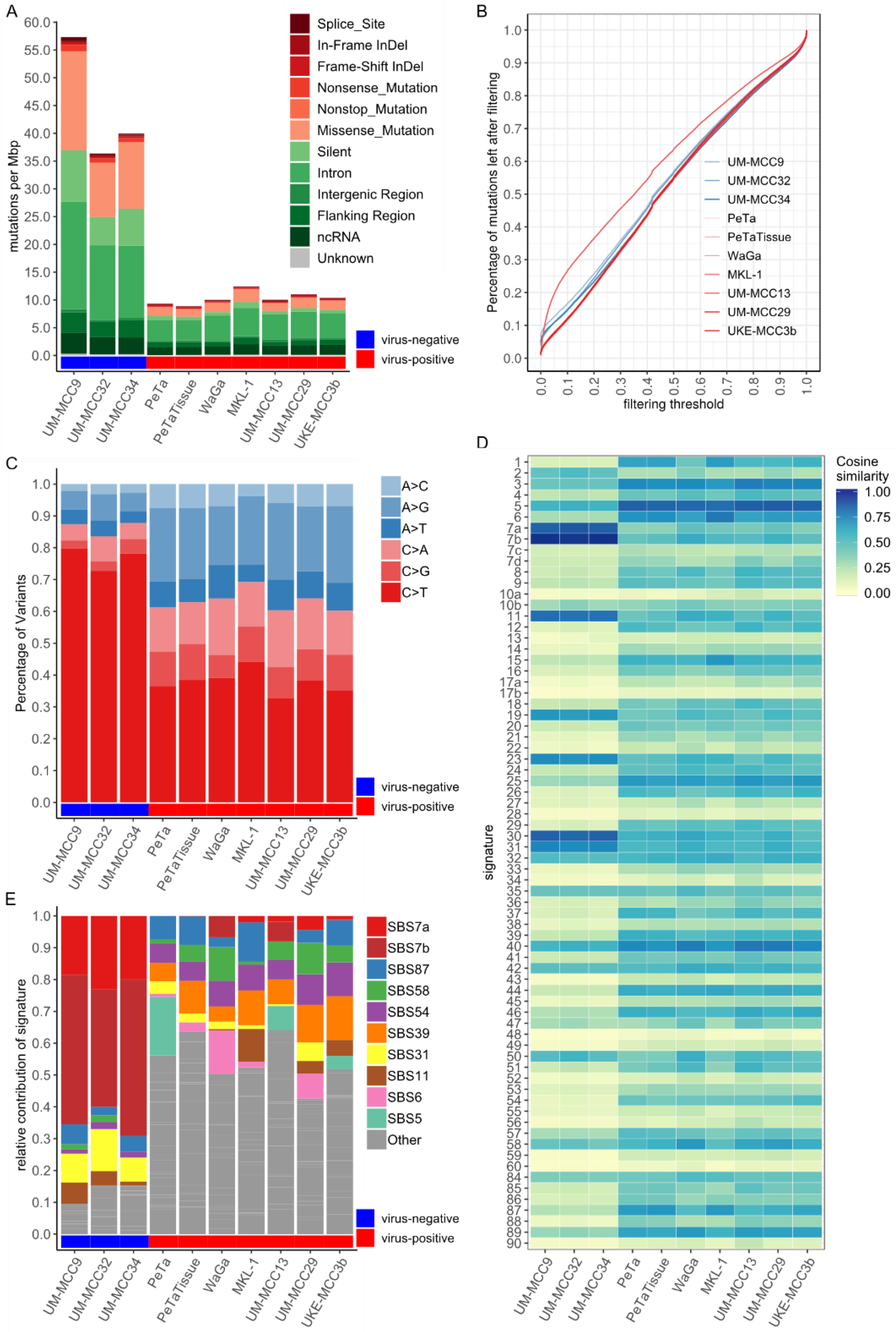 Cancers 13 00649 g001 Cancers 13 00649 g001