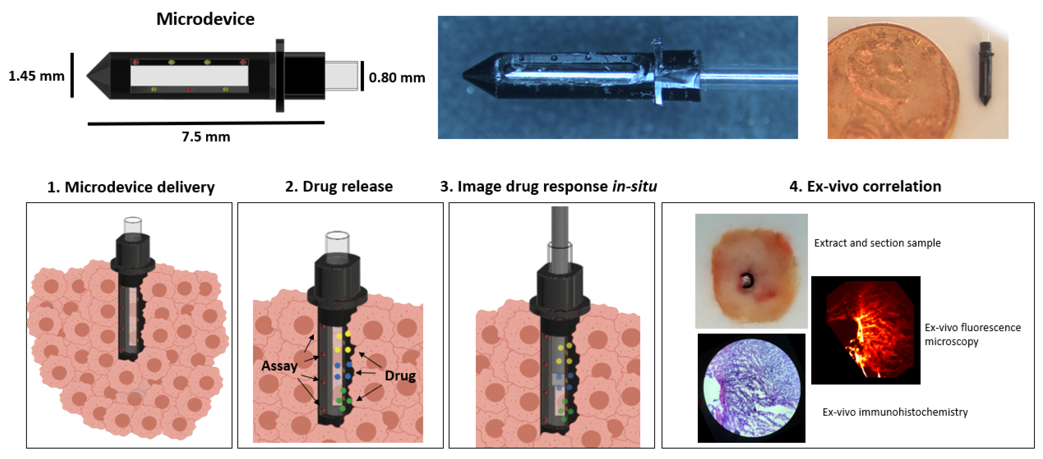 Cancers 13 00653 g001 Cancers 13 00653 g001