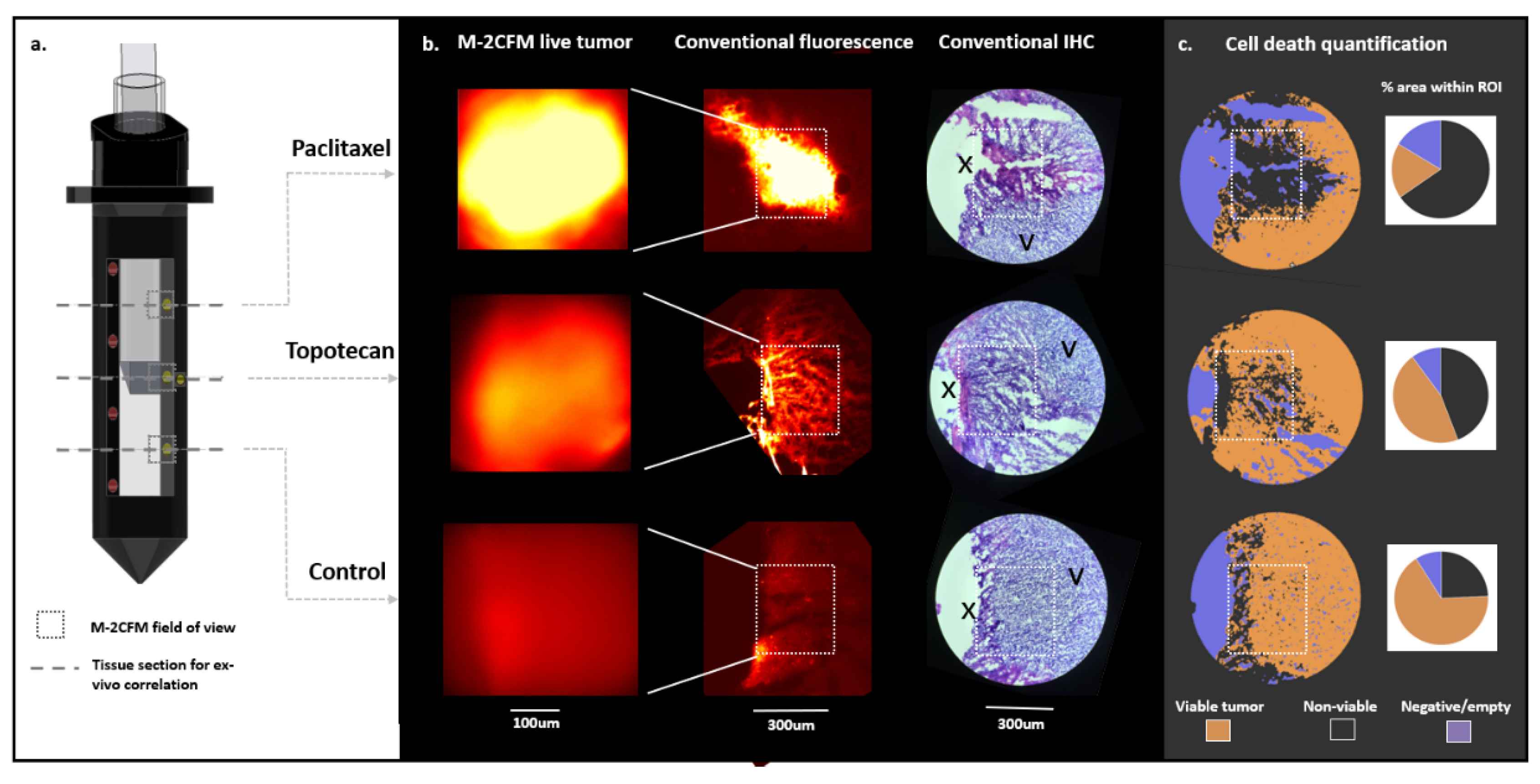 Cancers 13 00653 g006 Cancers 13 00653 g006