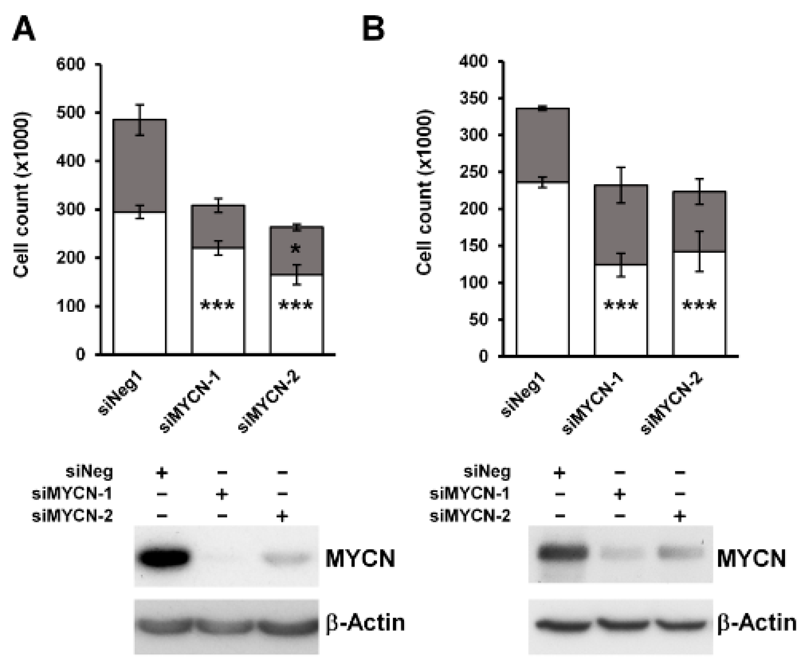 Cancers 13 00656 g002