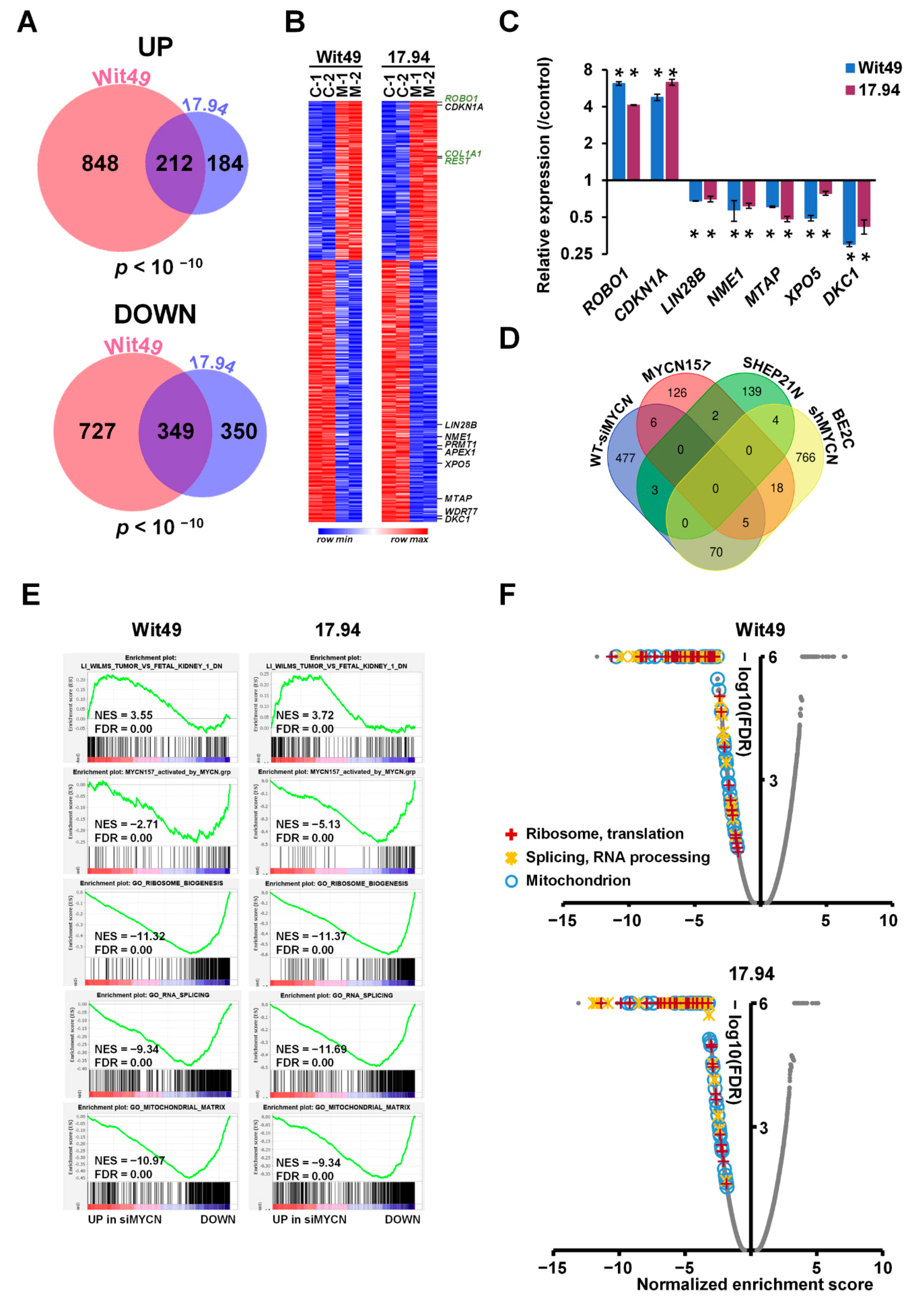 Cancers 13 00656 g003