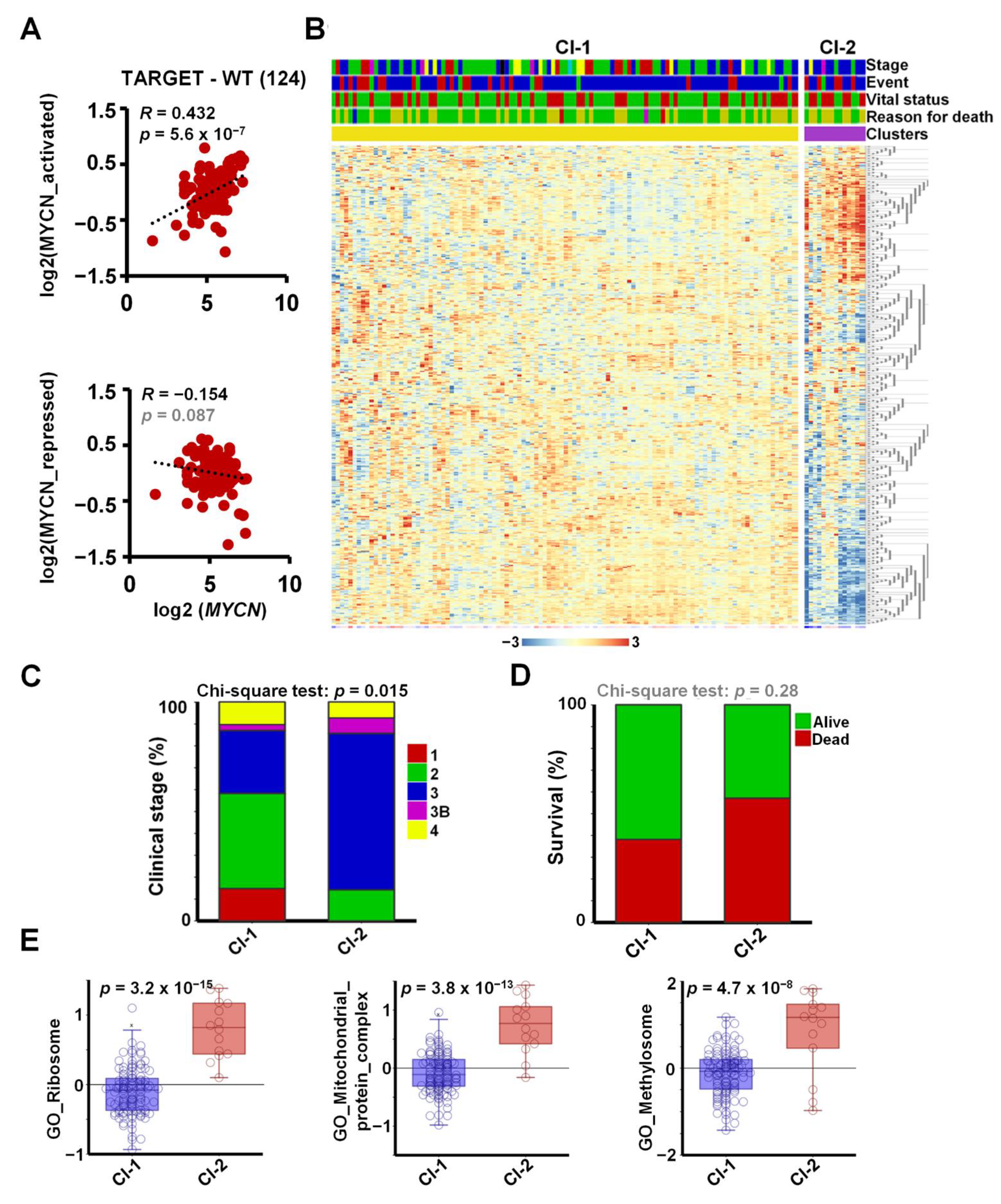 Cancers 13 00656 g004
