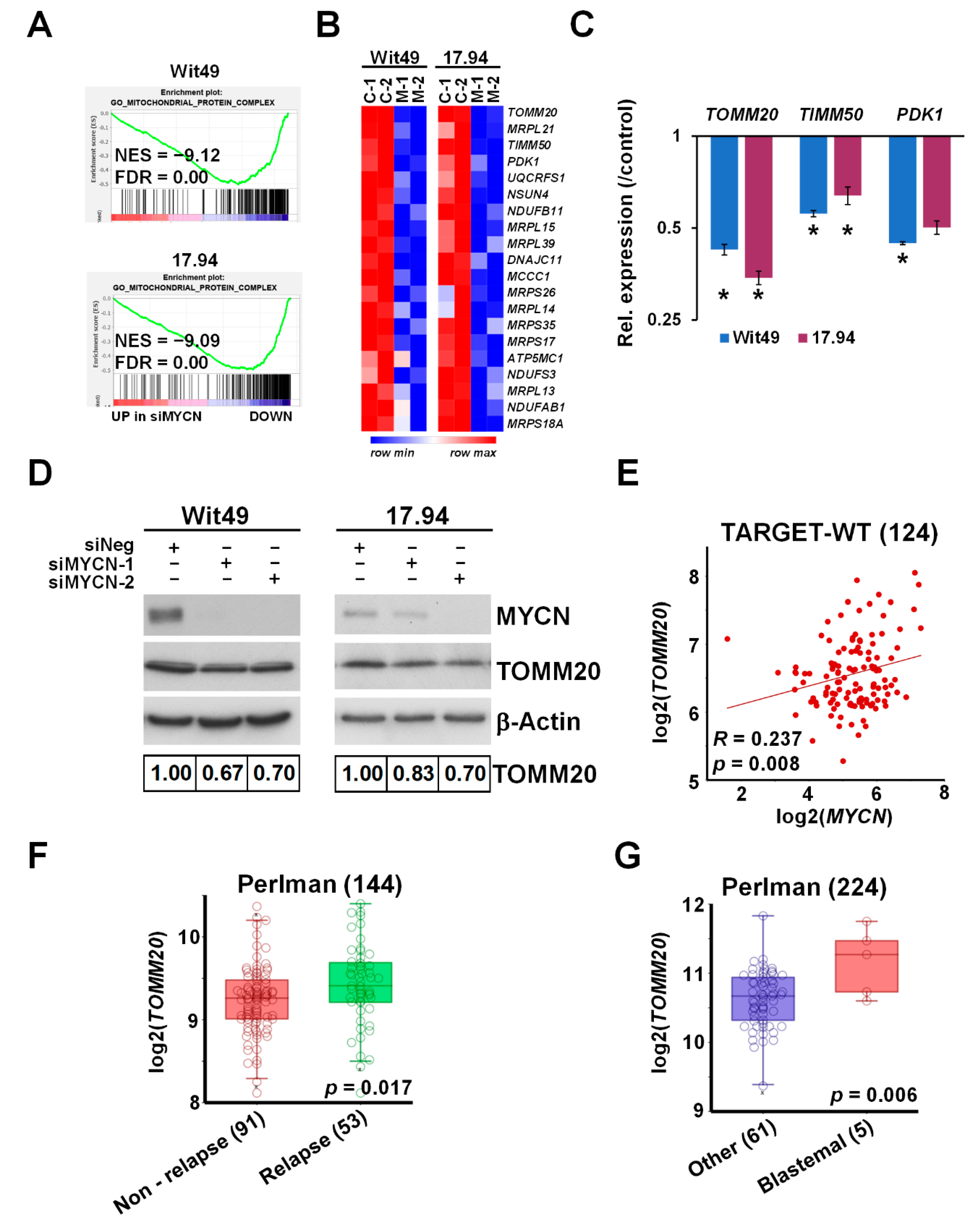 Cancers 13 00656 g005