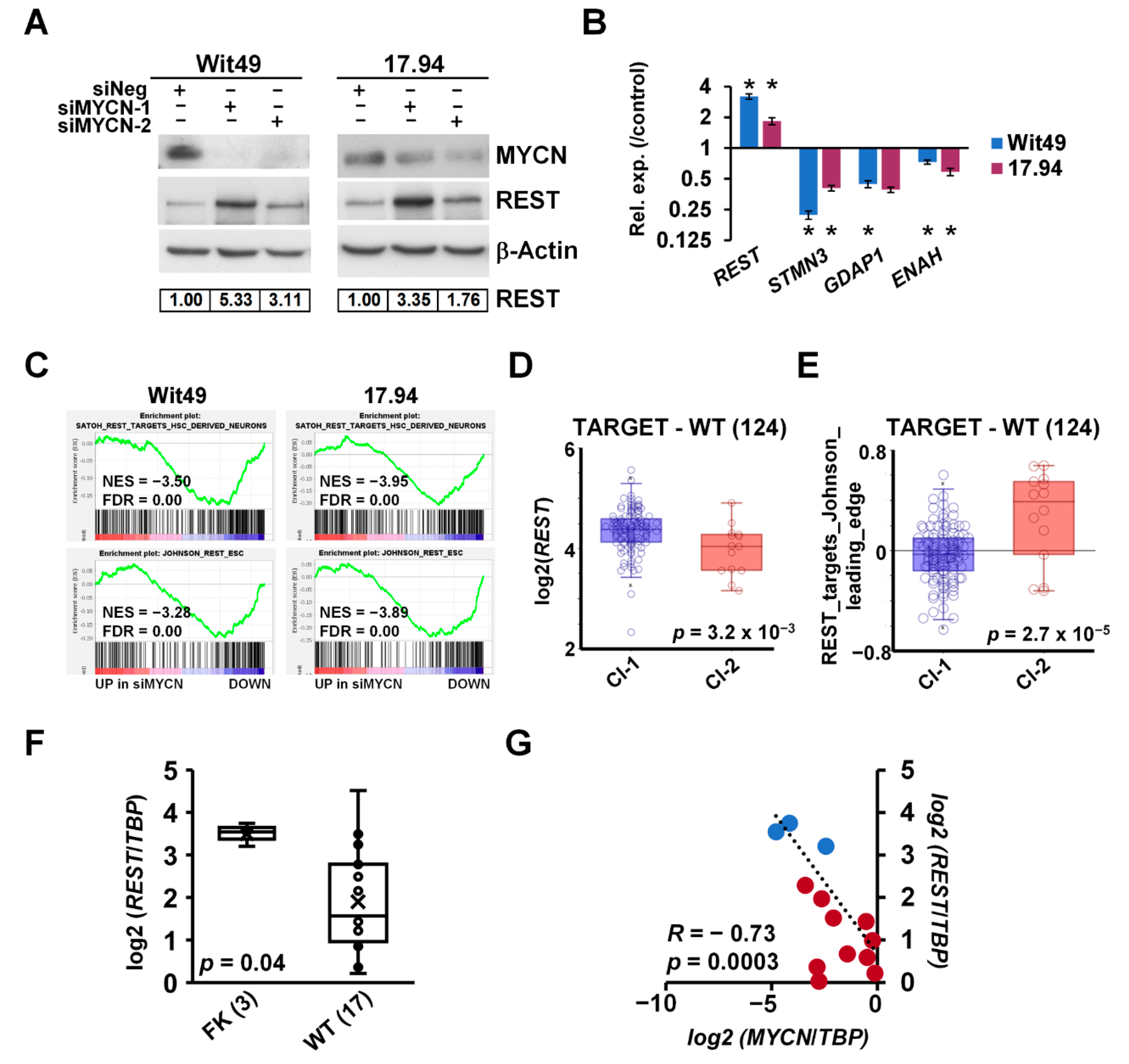 Cancers 13 00656 g007