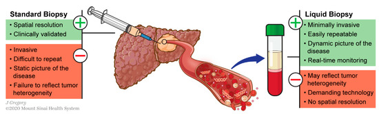 Cancers 13 00659 g002 550