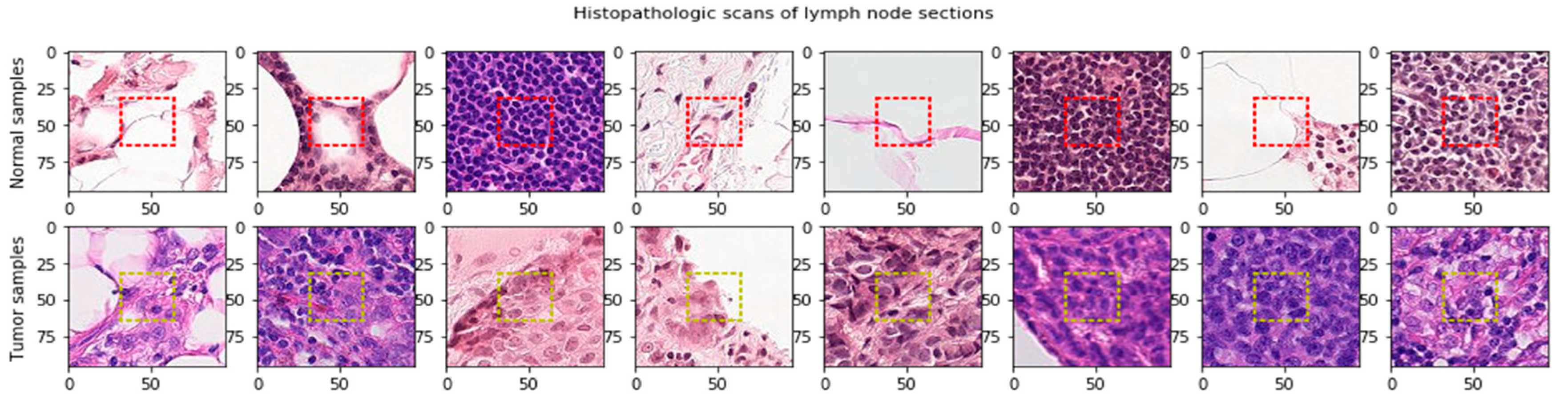 Cancers 13 00661 g003 Cancers 13 00661 g003