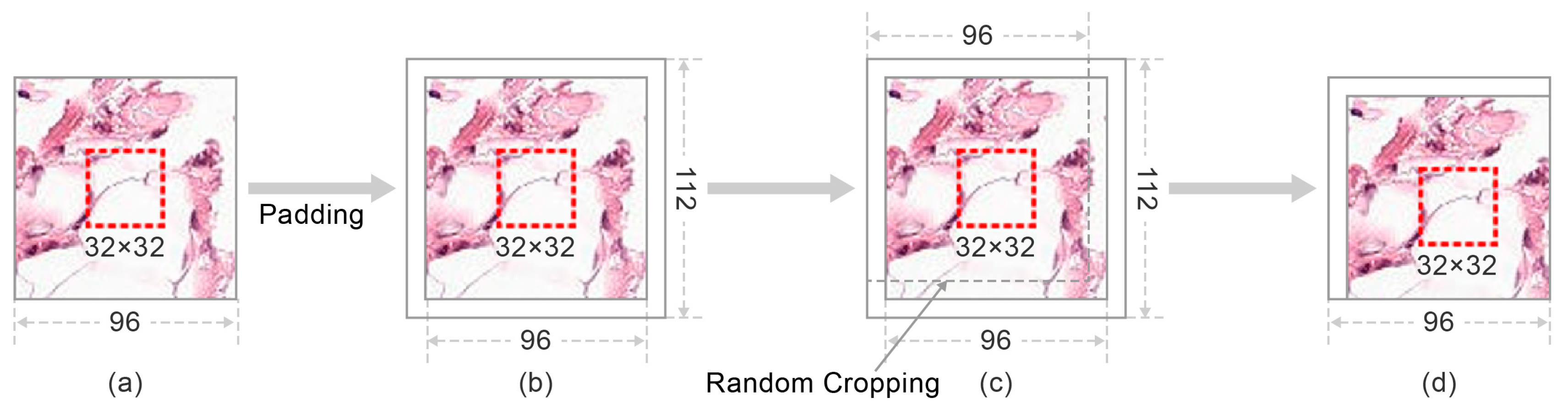 Cancers 13 00661 g004 Cancers 13 00661 g004