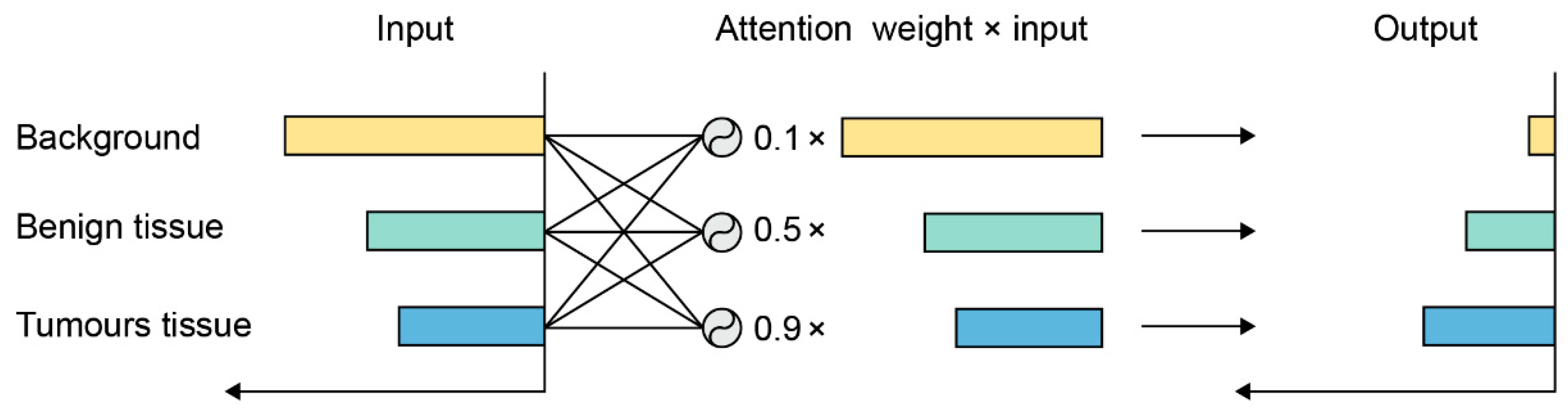 Cancers 13 00661 g006 Cancers 13 00661 g006
