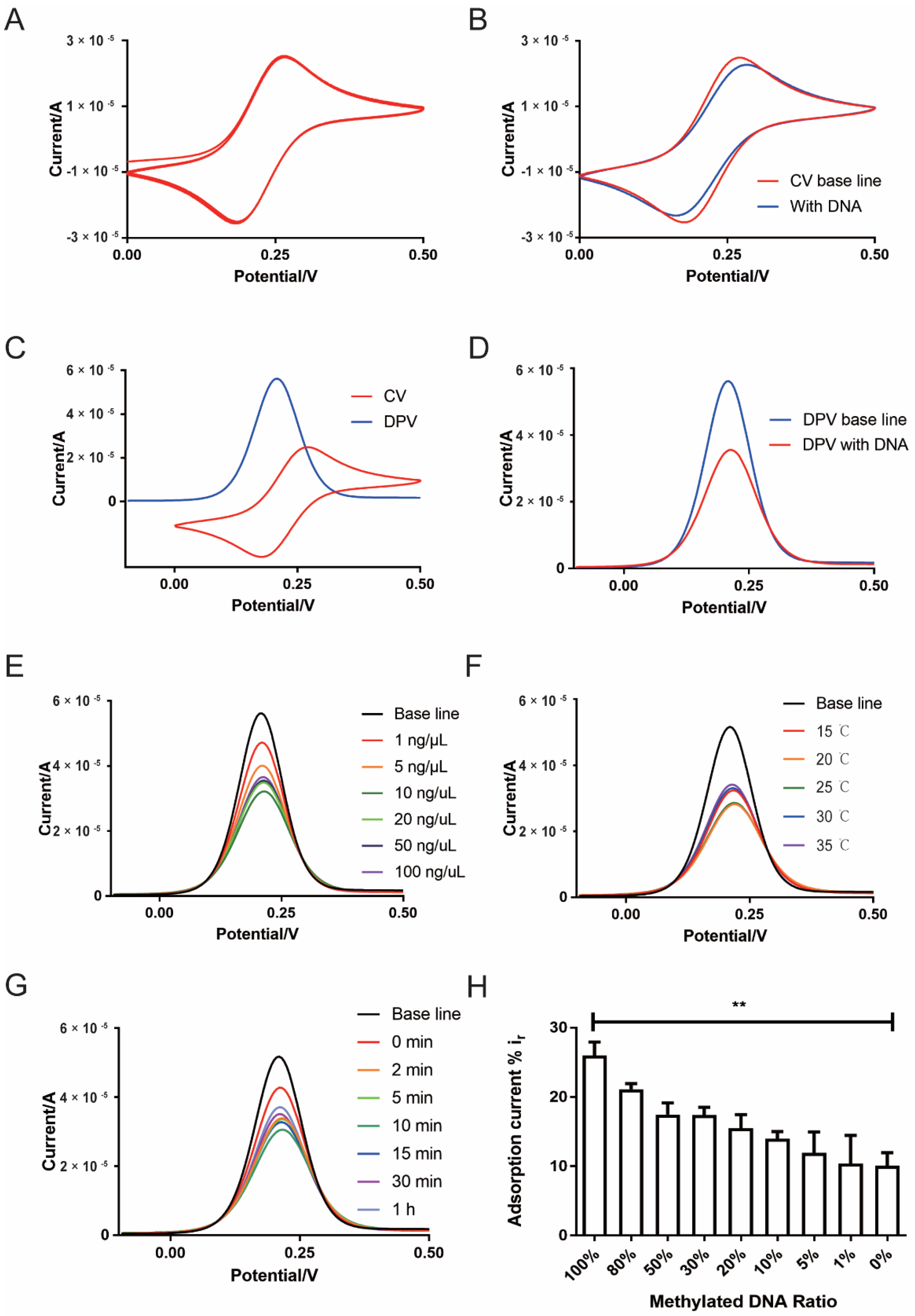 Cancers 13 00664 g002 Cancers 13 00664 g002