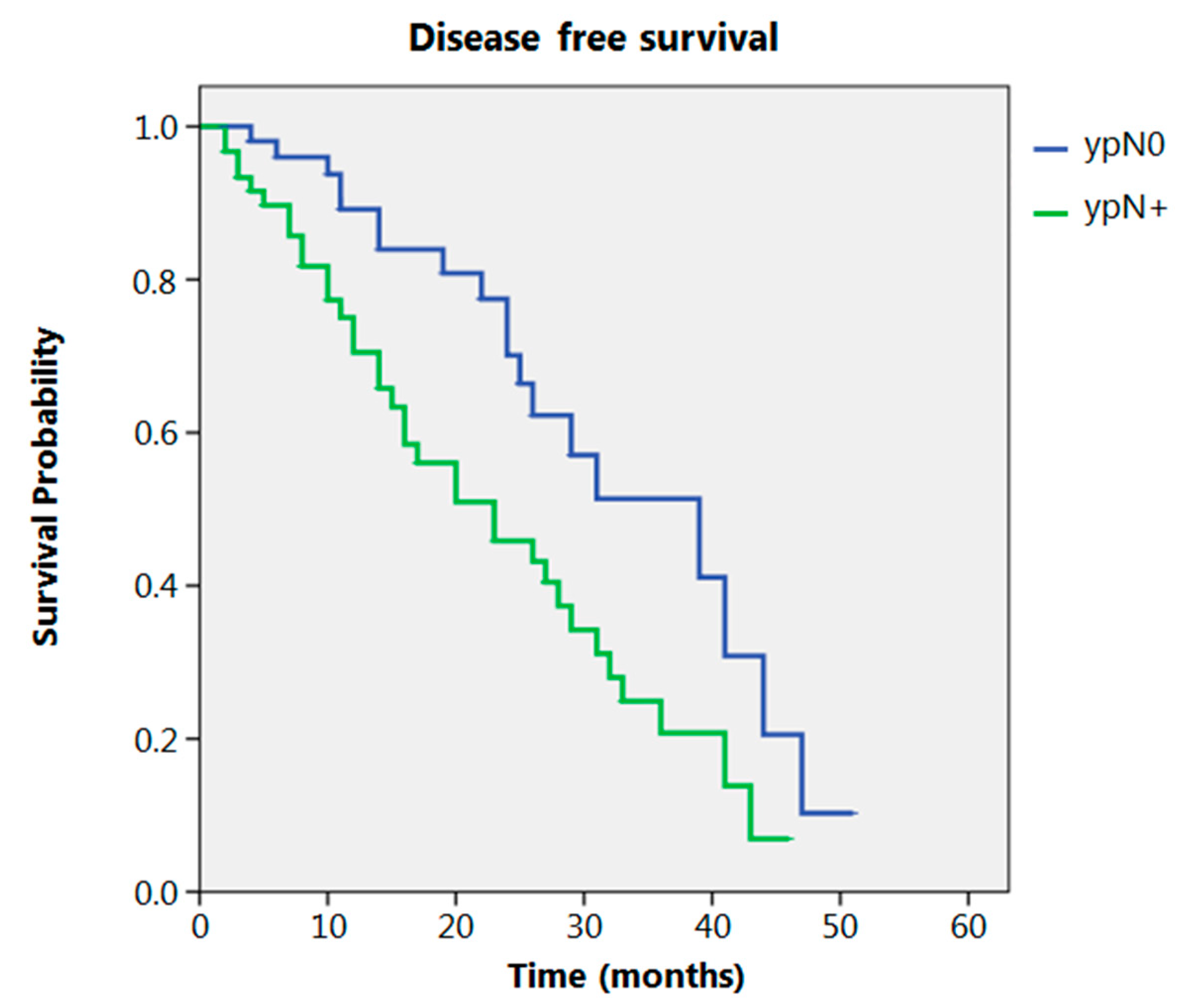 Cancers 13 00666 g005