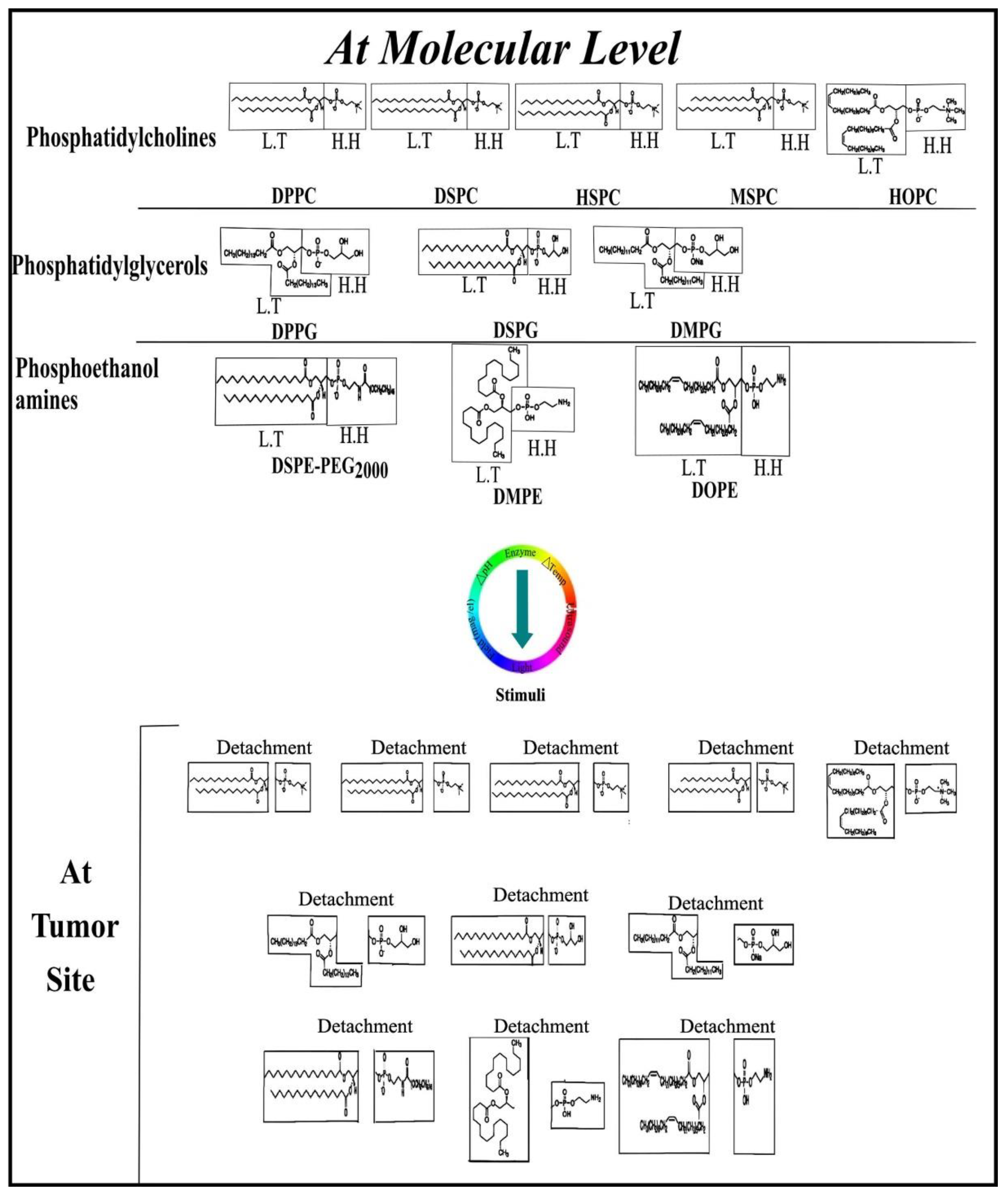Cancers 13 00670 g003 Cancers 13 00670 g003