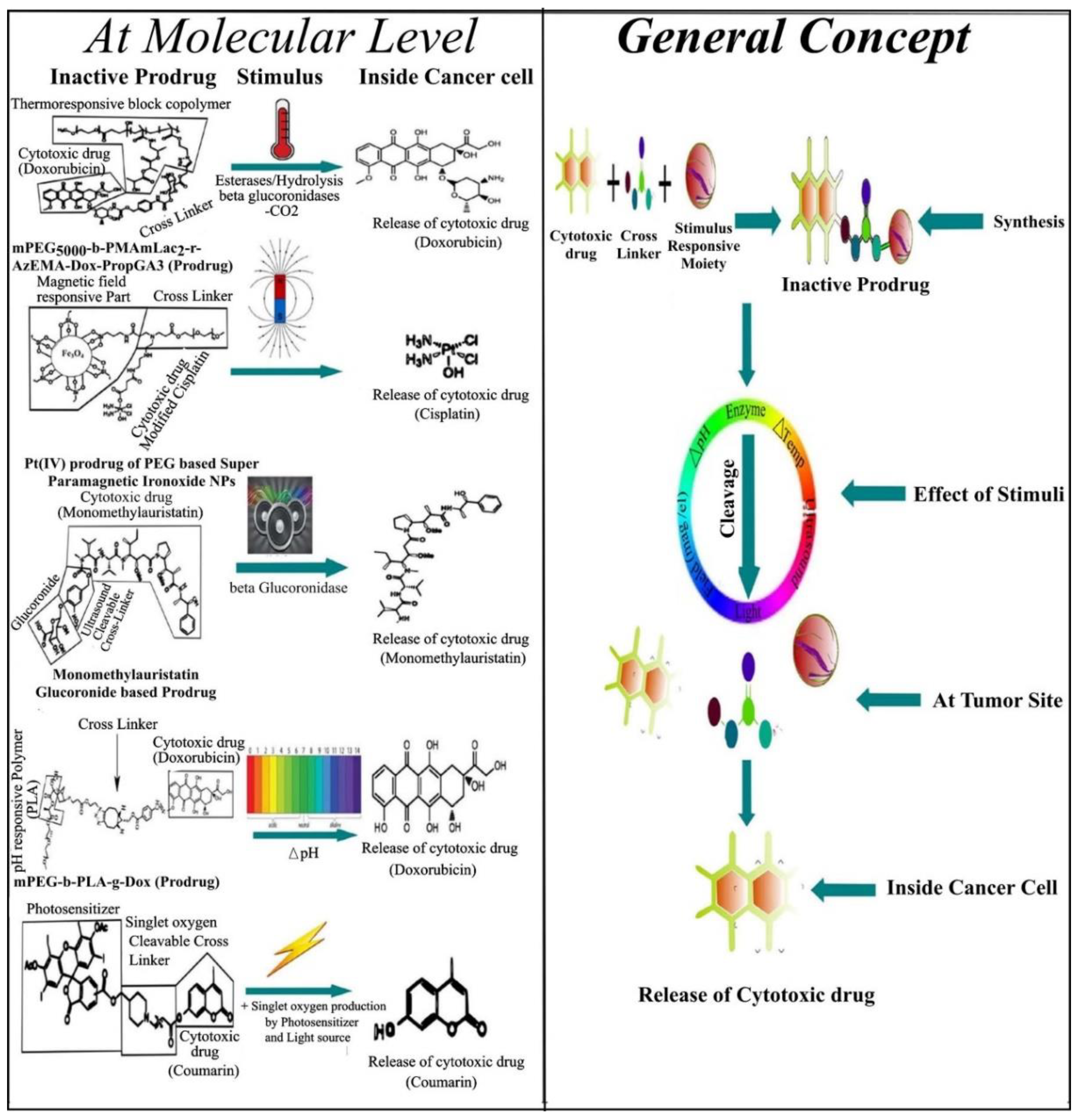 Cancers 13 00670 g005 Cancers 13 00670 g005