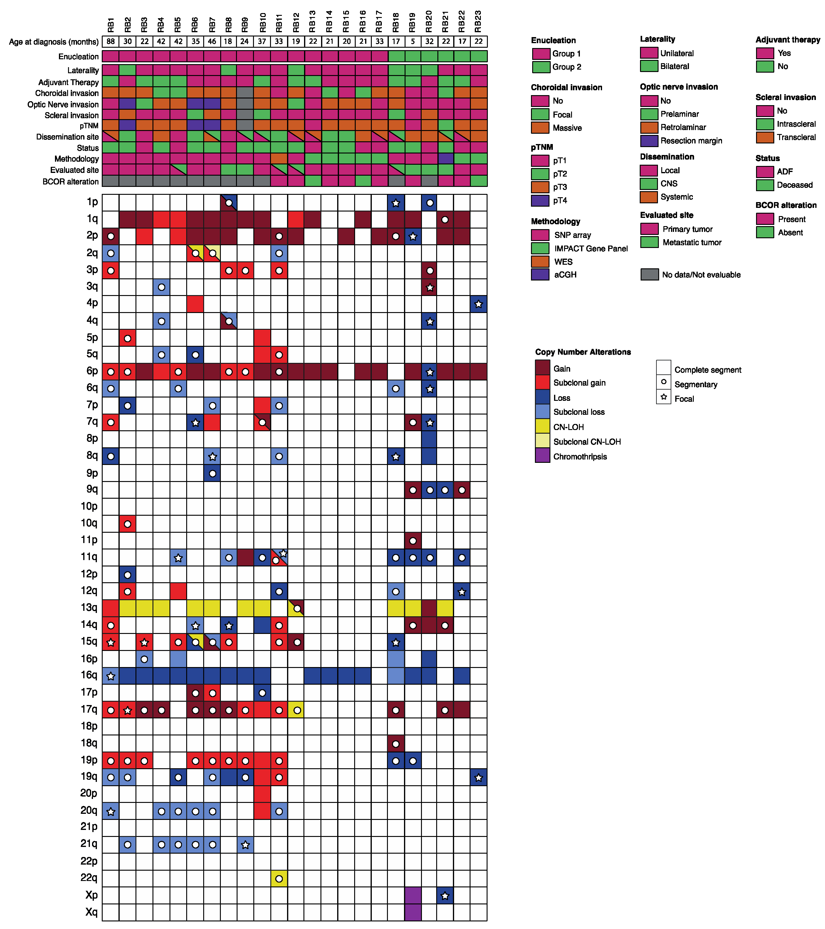 Cancers 13 00673 g001