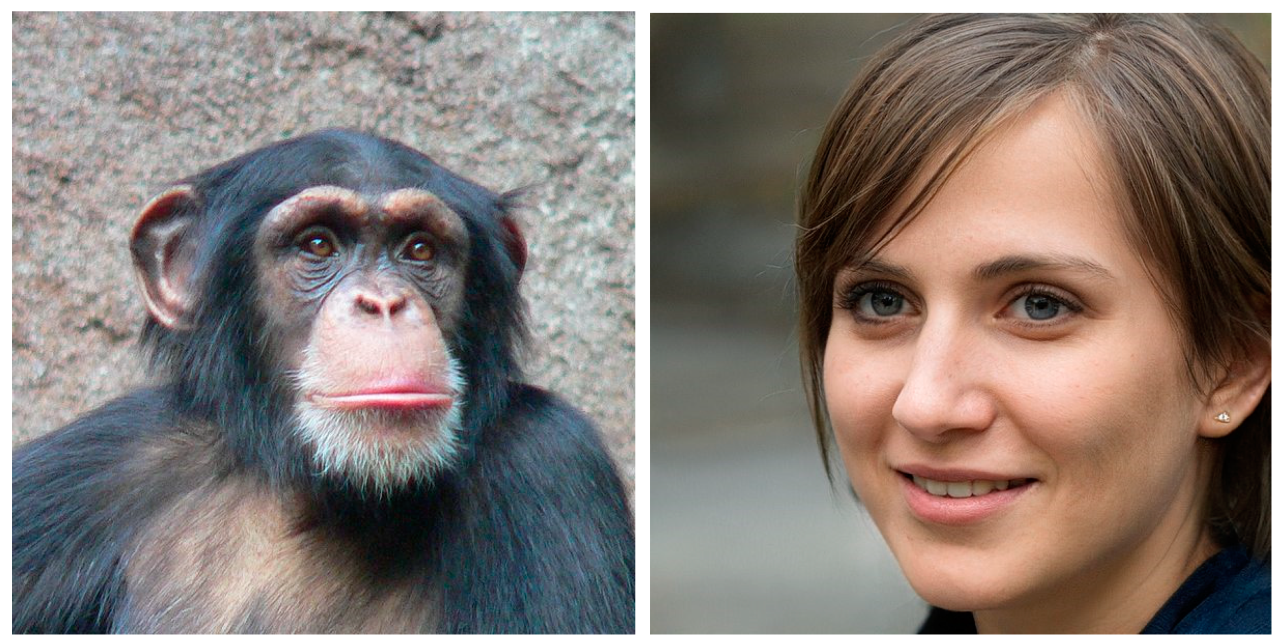 Cancers 13 00674 g001