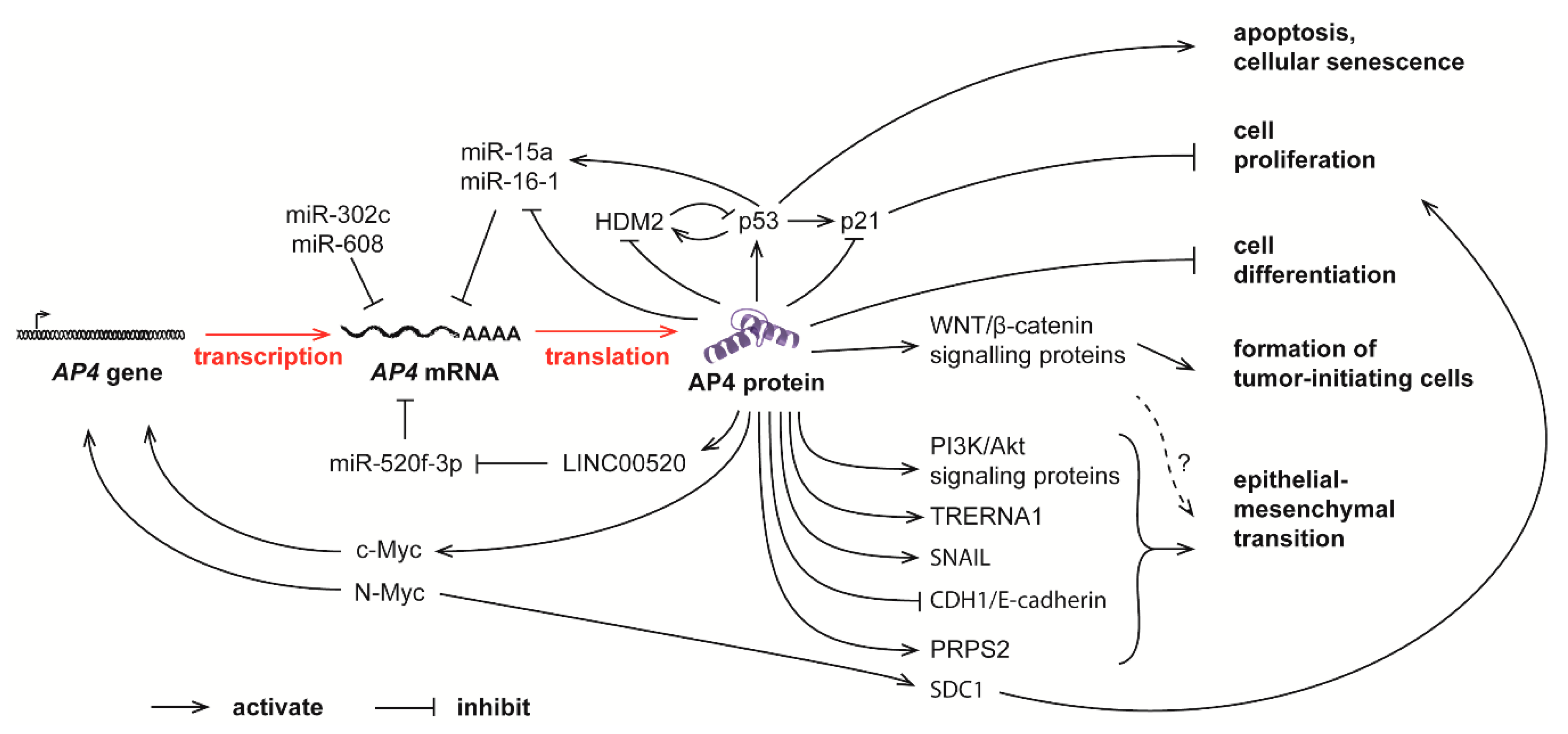 Cancers 13 00676 g002
