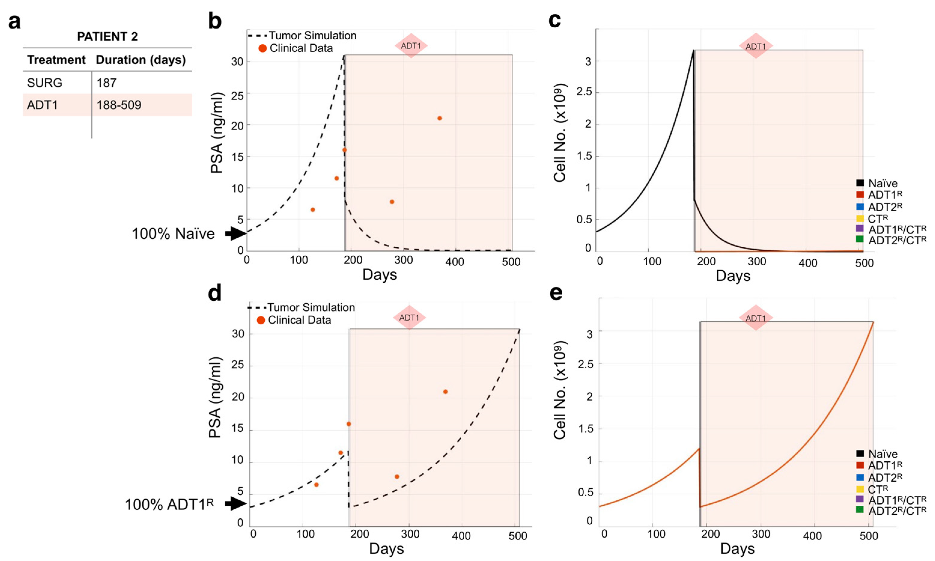 Cancers 13 00677 g004 Cancers 13 00677 g004