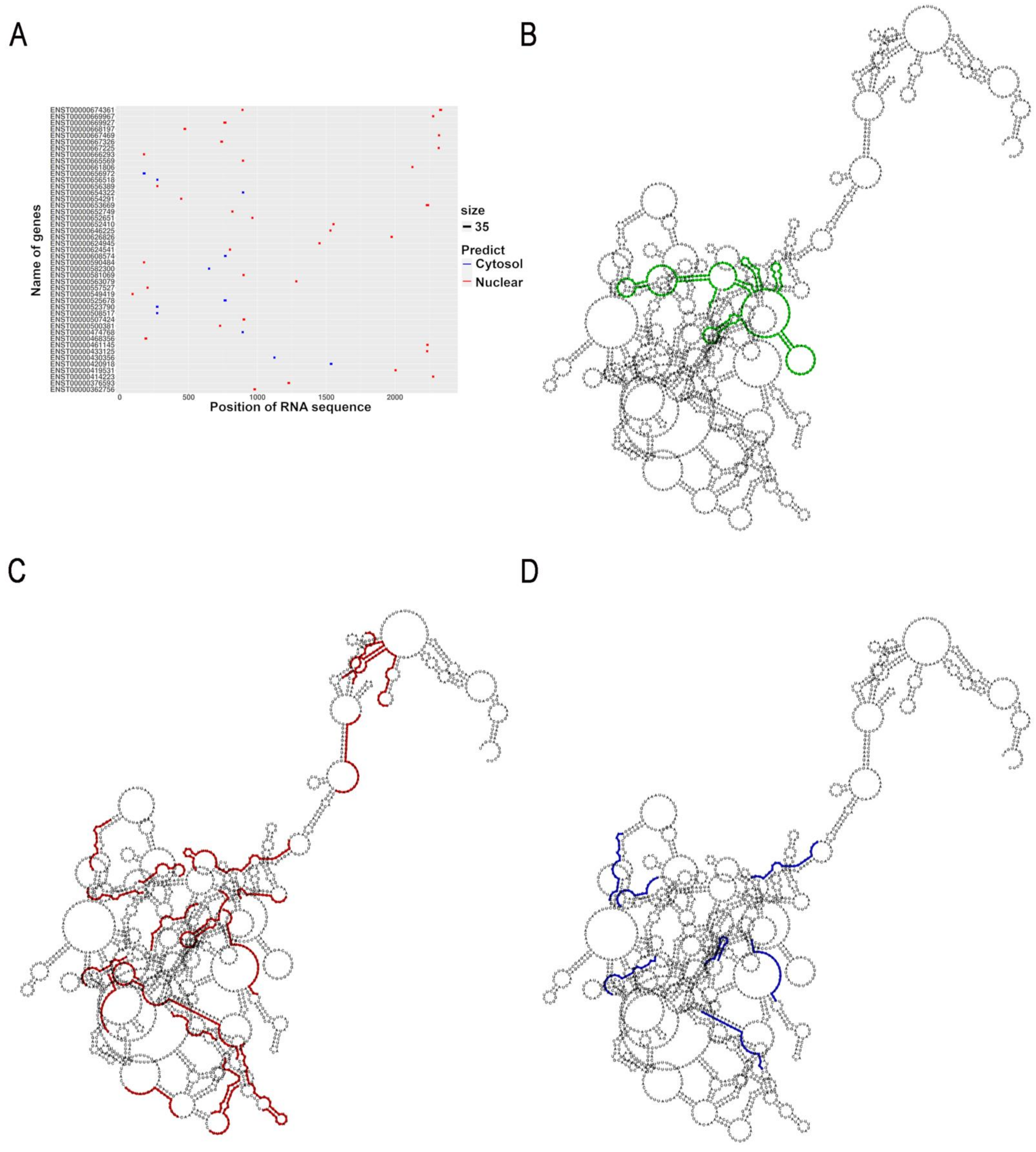 Cancers 13 00681 g002