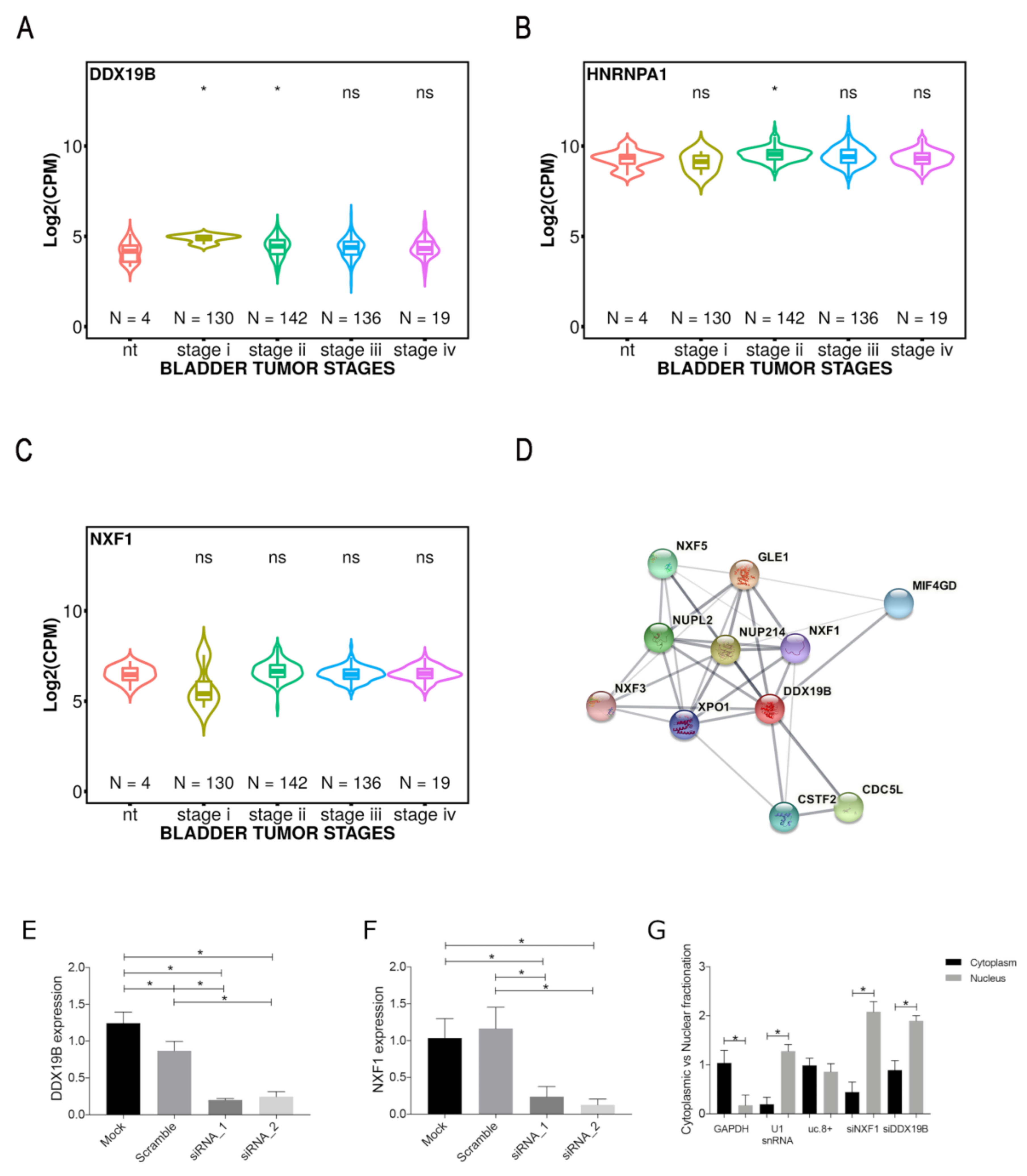 Cancers 13 00681 g005