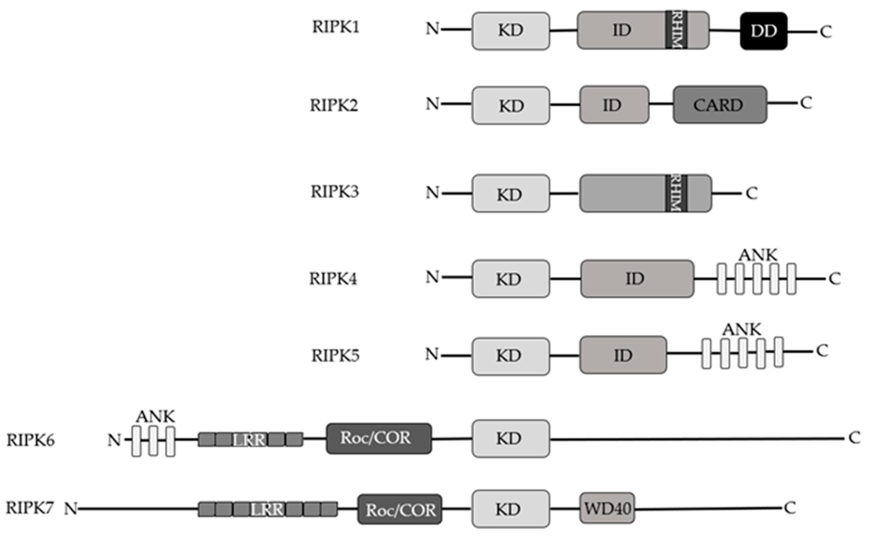 Cancers 13 00684 g002 Cancers 13 00684 g002