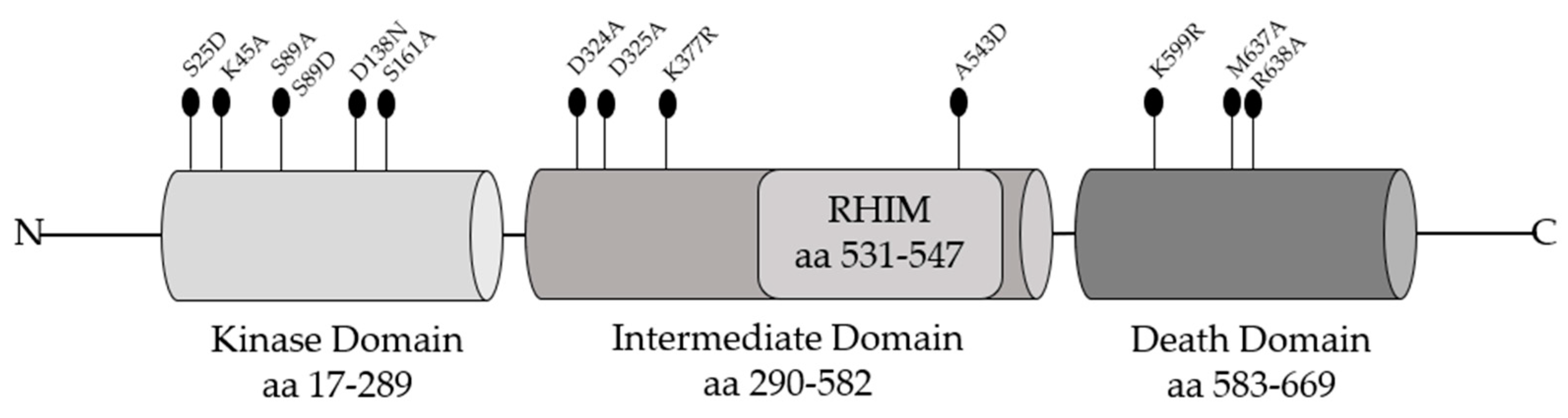 Cancers 13 00684 g003 Cancers 13 00684 g003