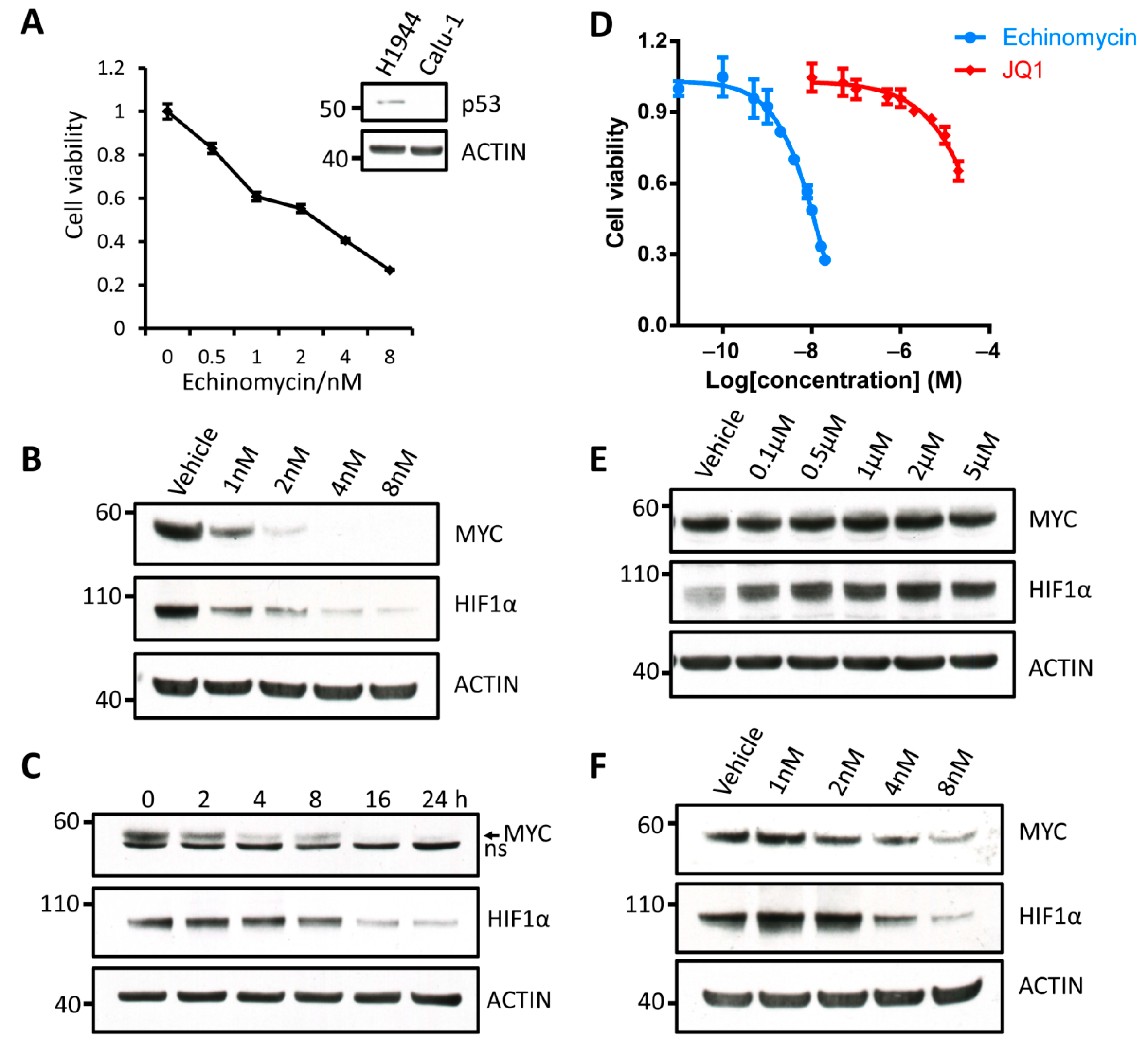 Cancers 13 00694 g004
