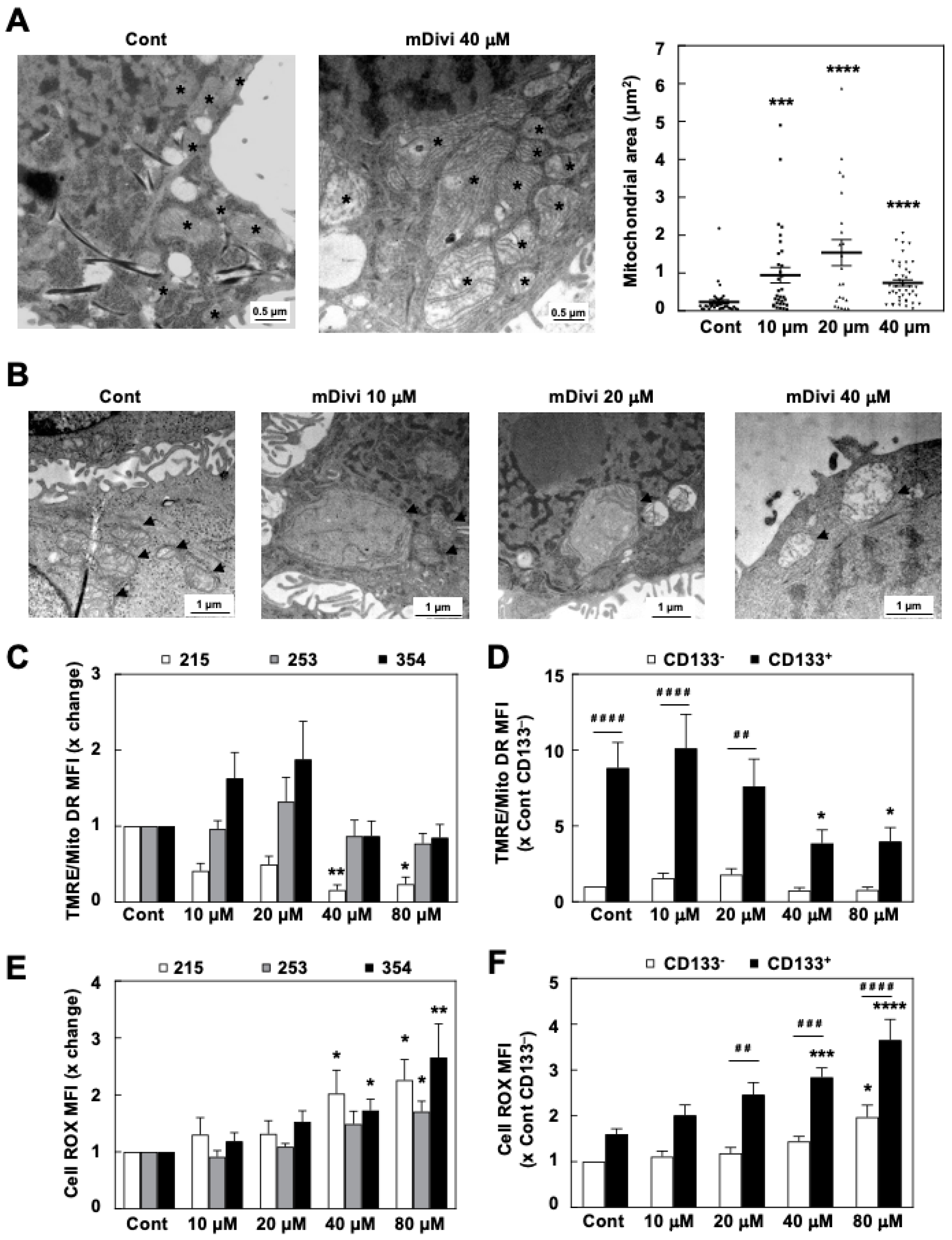 Cancers 13 00698 g003 Cancers 13 00698 g003