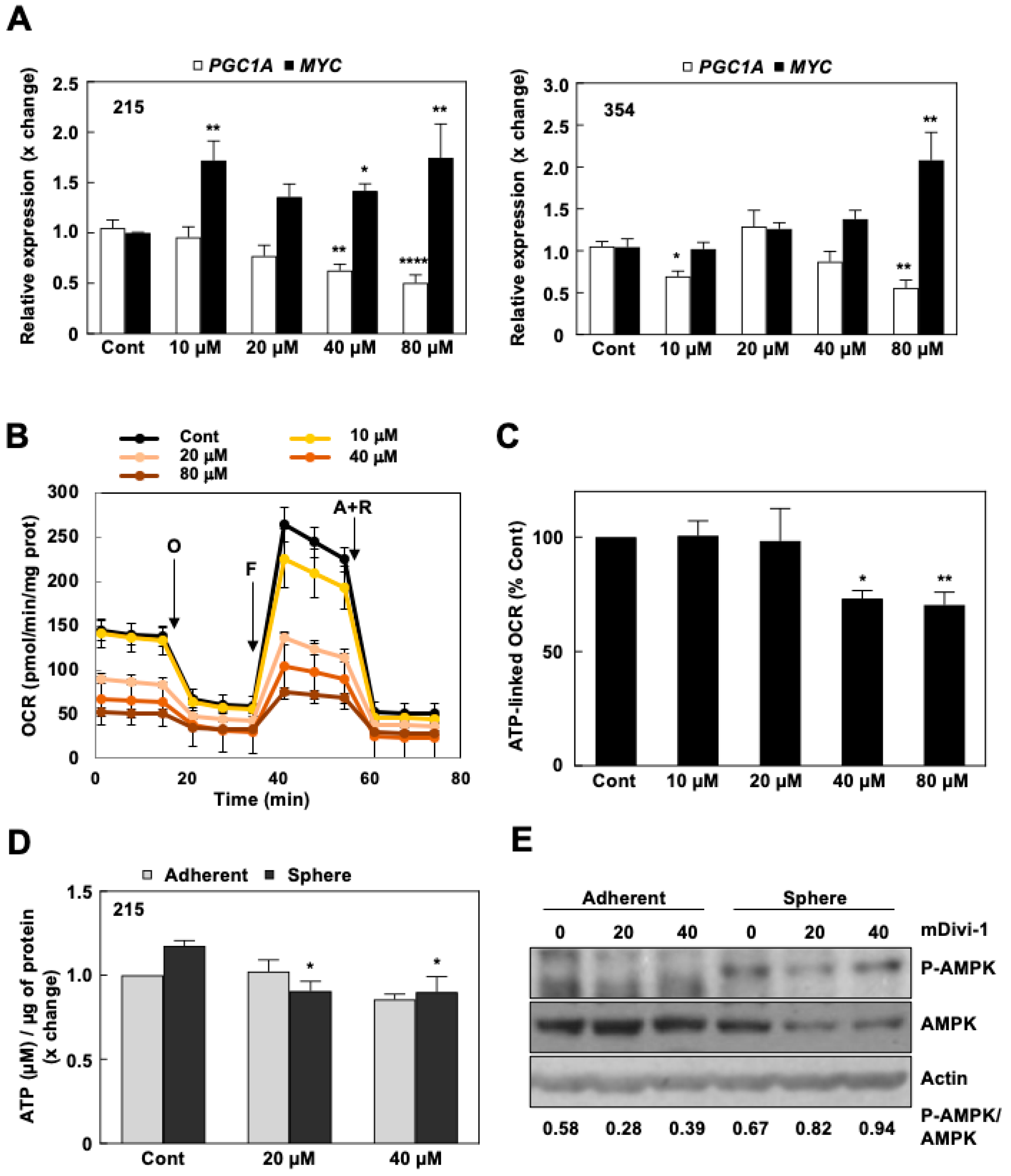 Cancers 13 00698 g004 Cancers 13 00698 g004