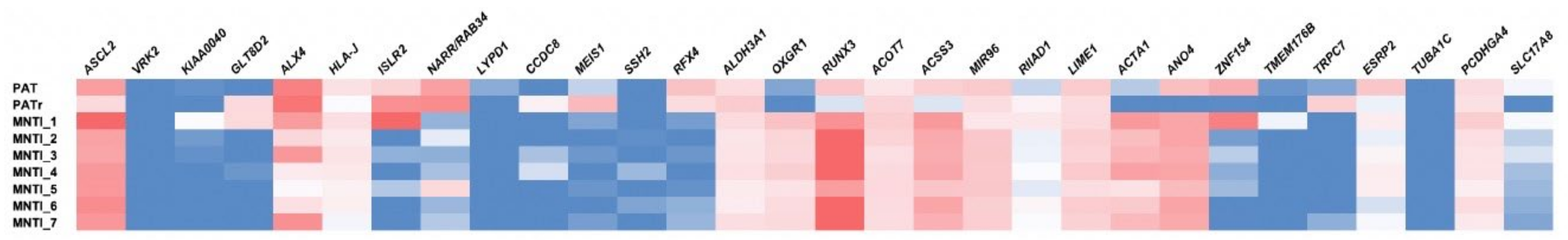 Cancers 13 00706 g007