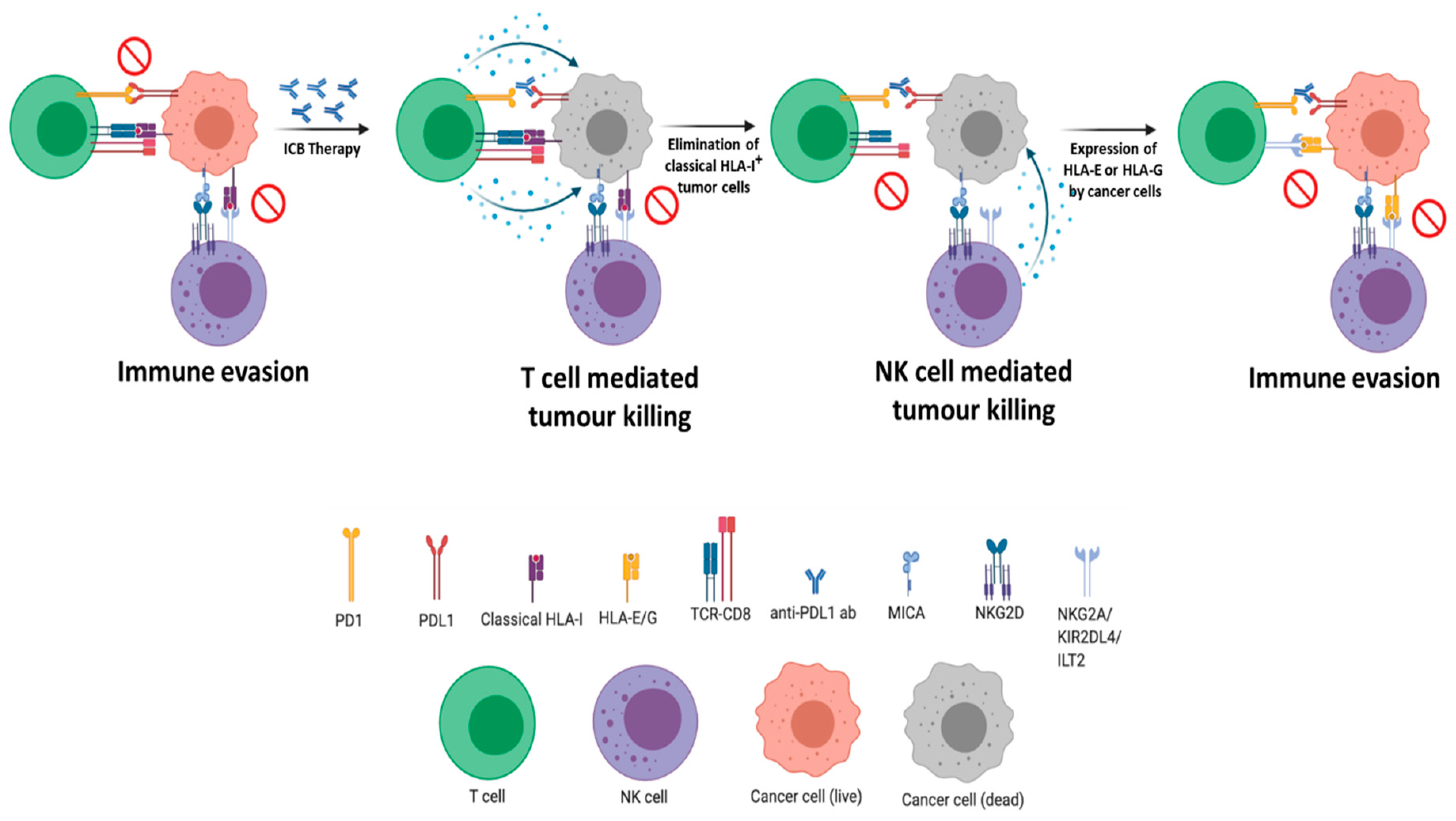 Cancers 13 00719 g001 Cancers 13 00719 g001