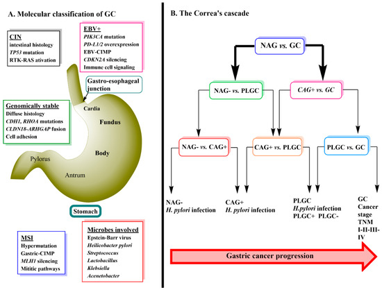 Cancers 13 00720 g001 550