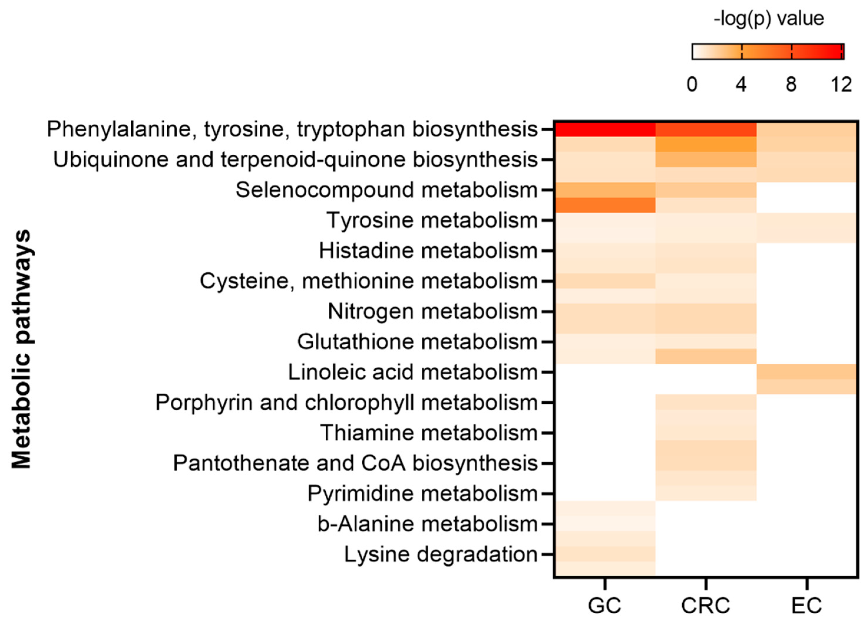 Cancers 13 00720 g007 Cancers 13 00720 g007