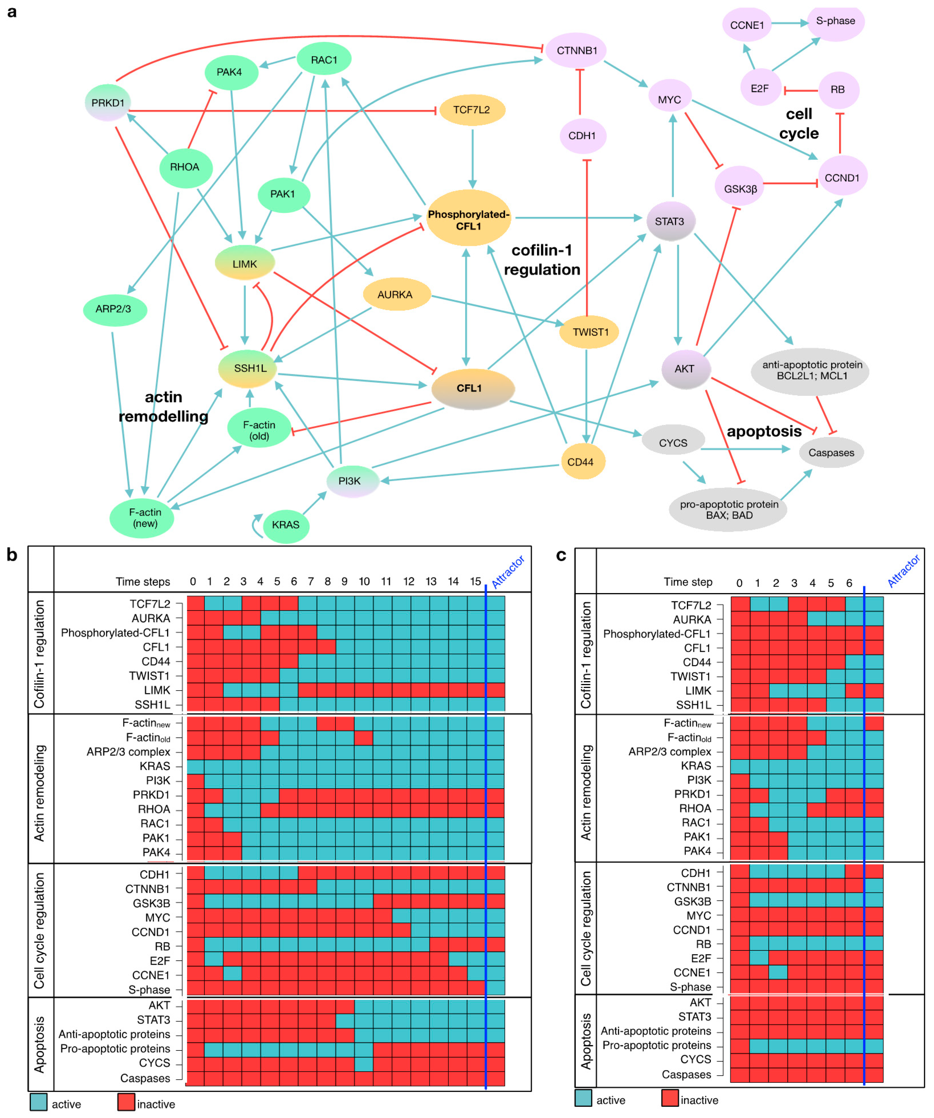 Cancers 13 00725 g003 Cancers 13 00725 g003