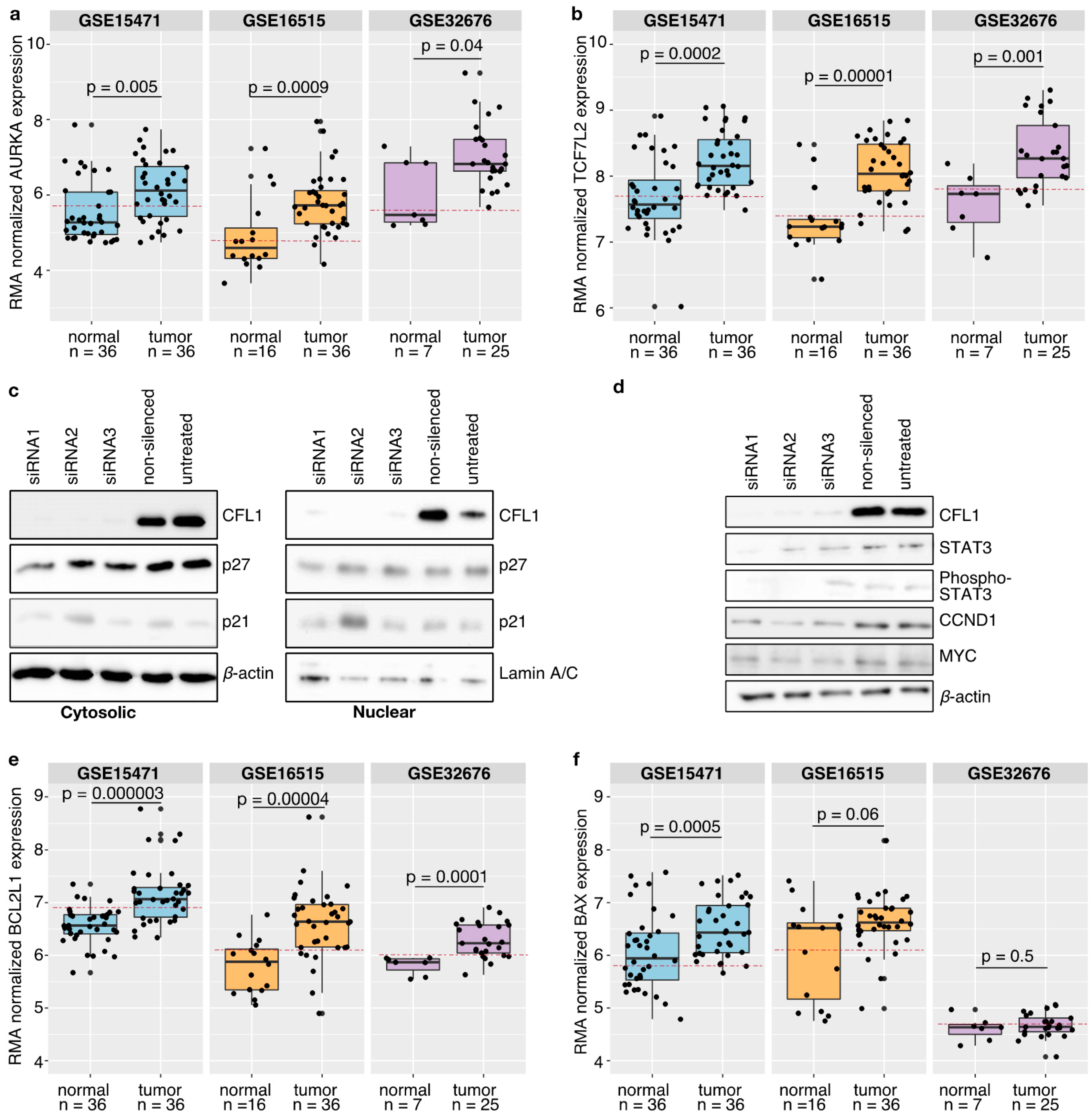 Cancers 13 00725 g004 Cancers 13 00725 g004
