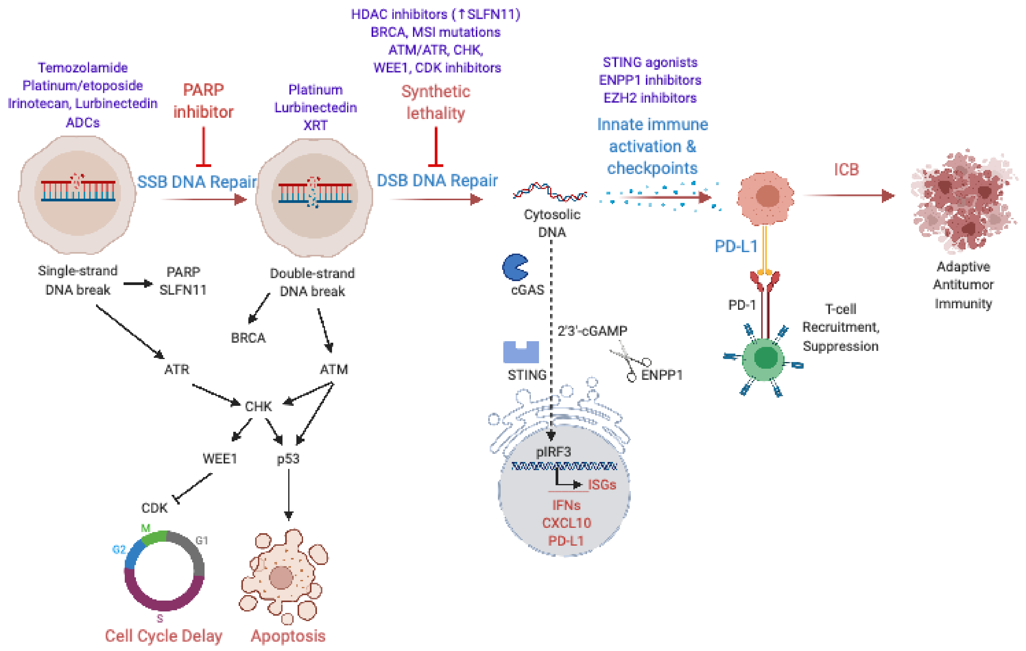 Cancers 13 00727 g002