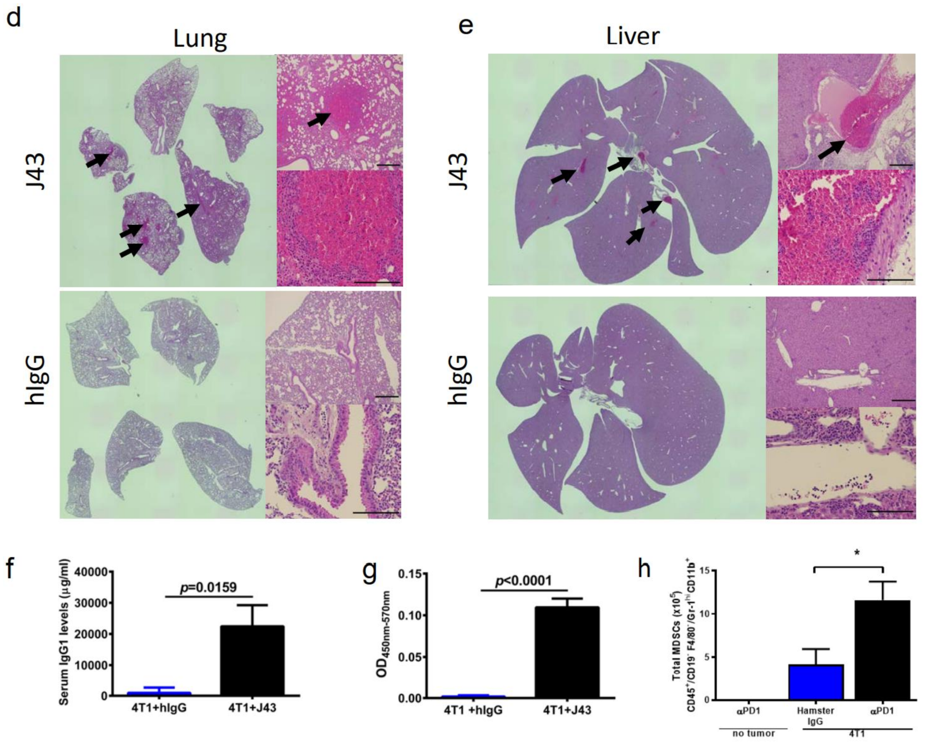 Cancers 13 00729 g001b Cancers 13 00729 g001b