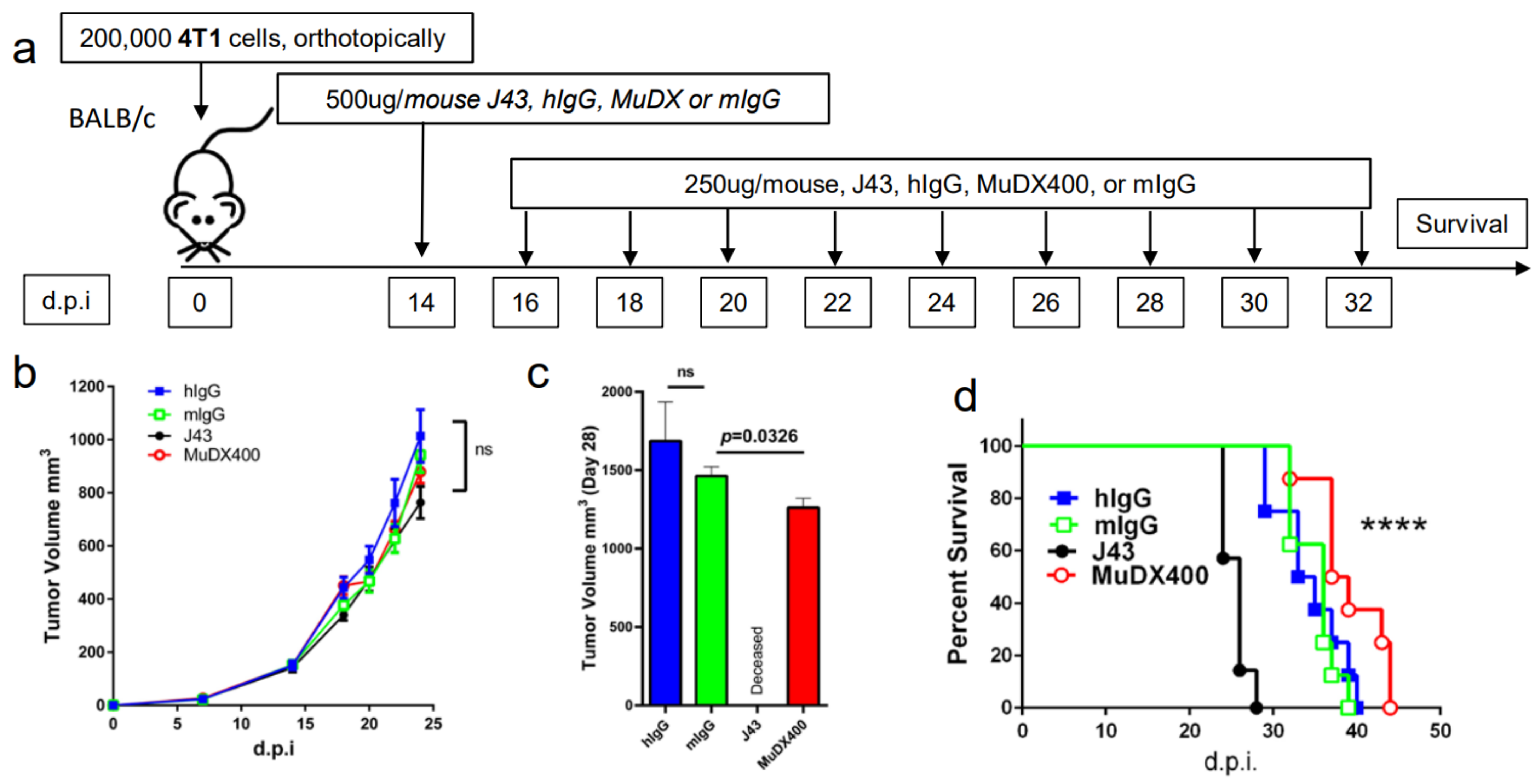 Cancers 13 00729 g002a Cancers 13 00729 g002a