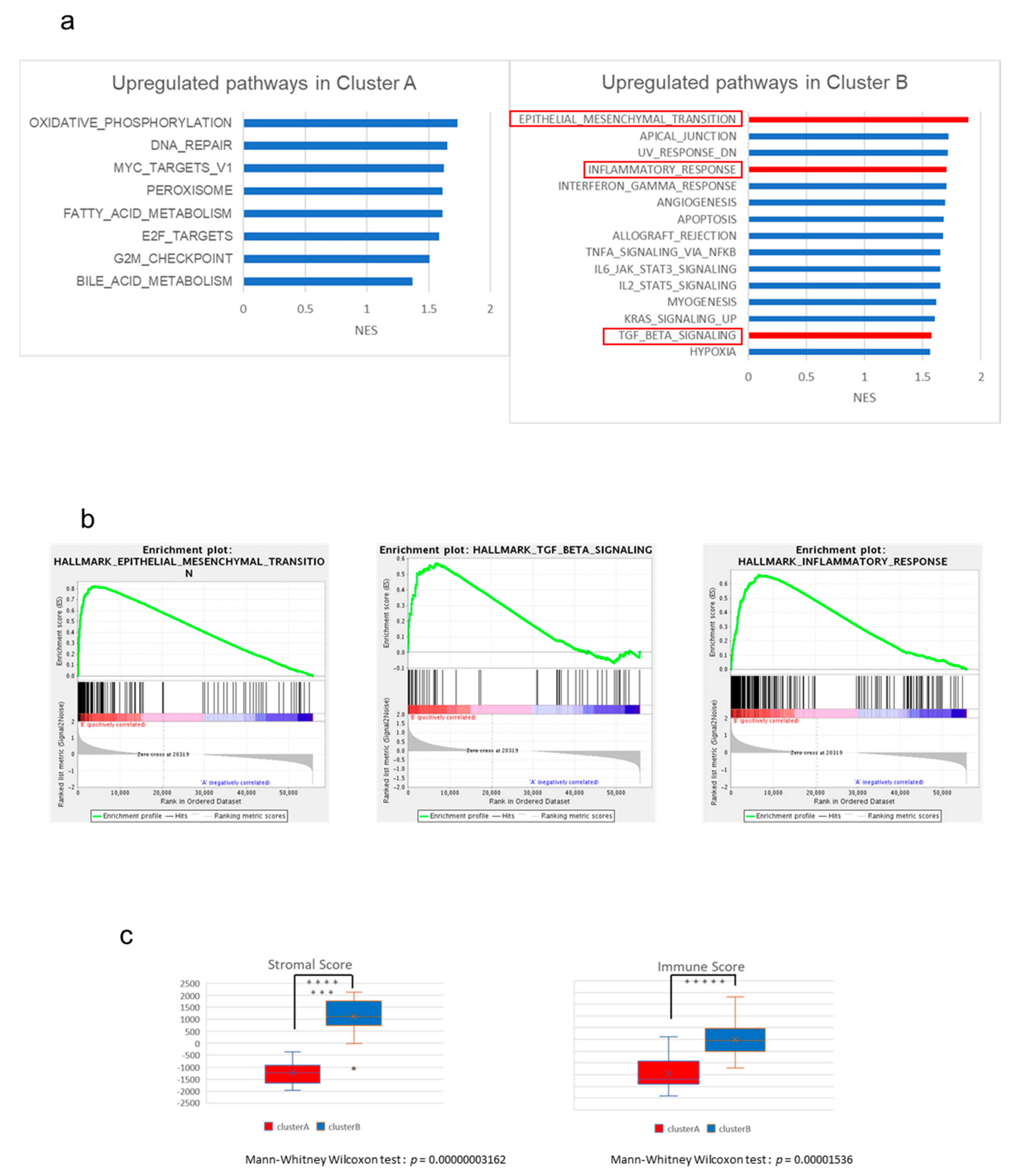 Cancers 13 00733 g002