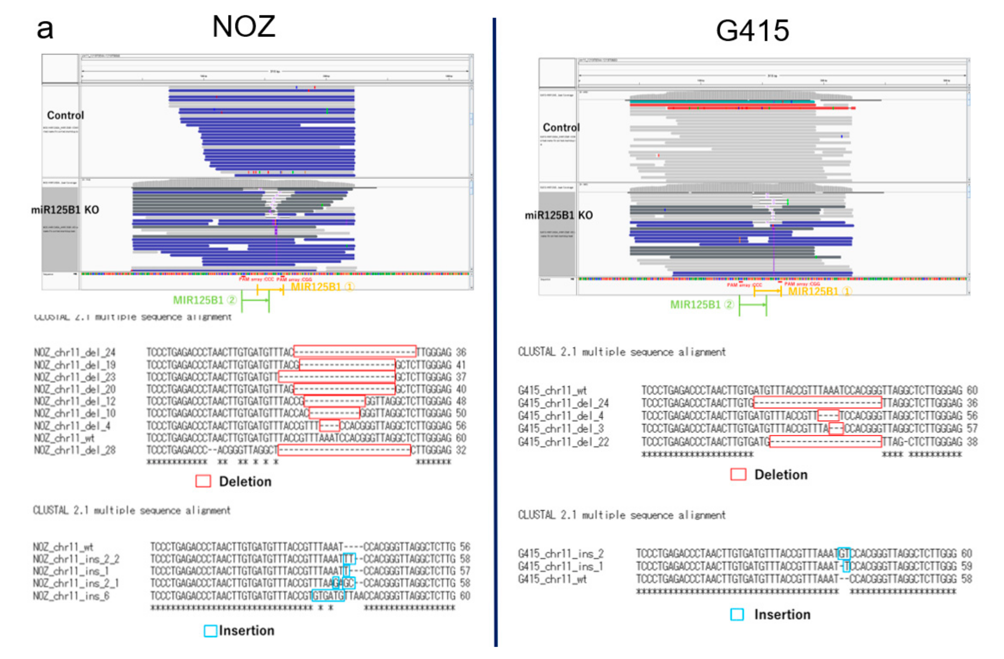 Cancers 13 00733 g005a